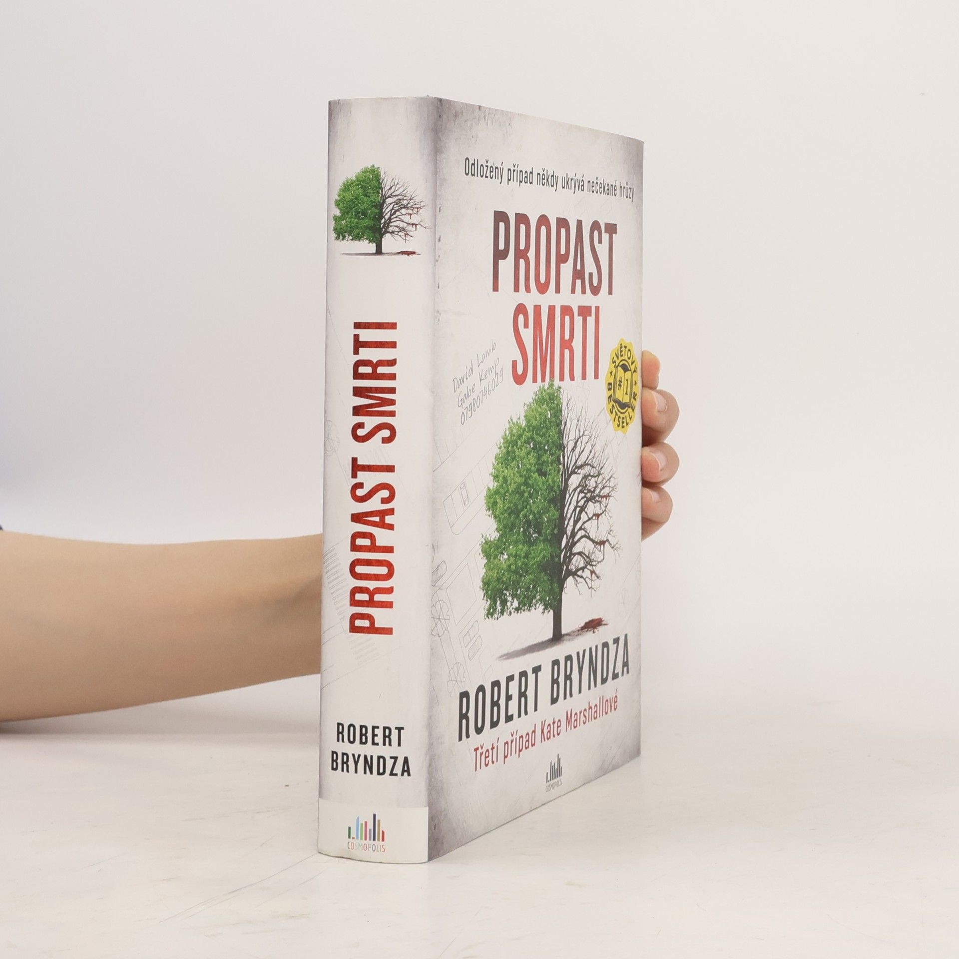 Robert Bryndza Propast smrti
