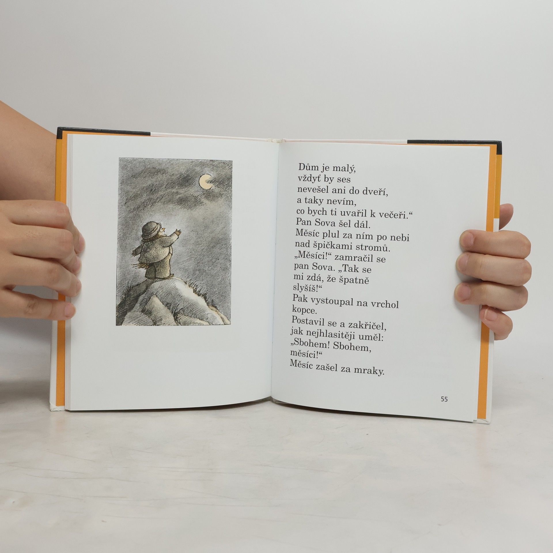 Arnold Lobel Pan Sova