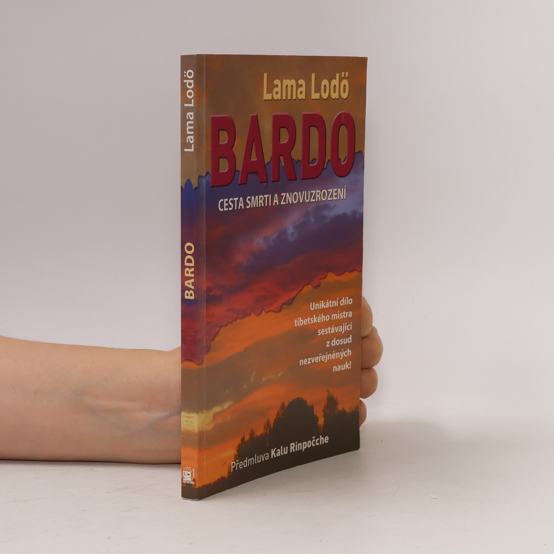 Bardo : cesta smrti a znovuzrození