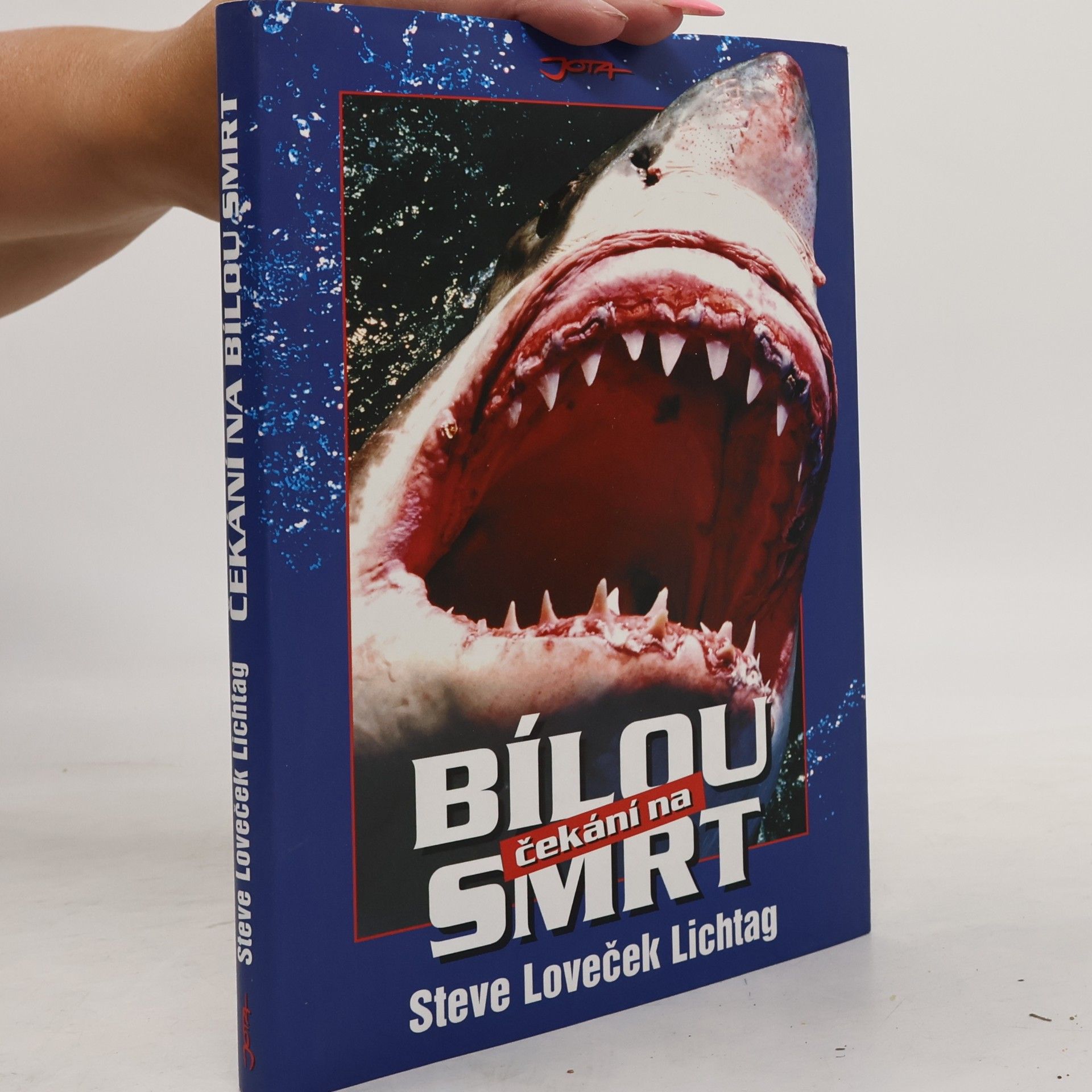 Steve Lichtag Čekání na bílou smrt
