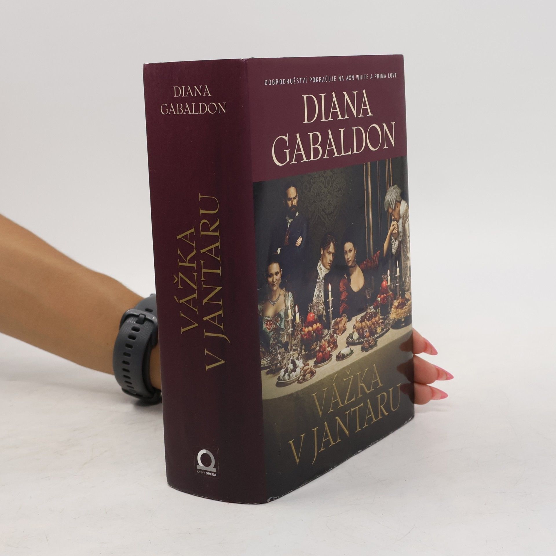 Diana Gabaldon Vážka v jantaru