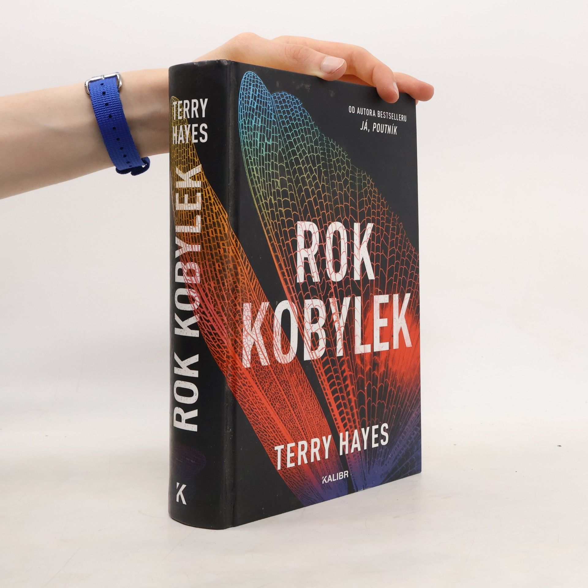 Terry Hayes Rok kobylek