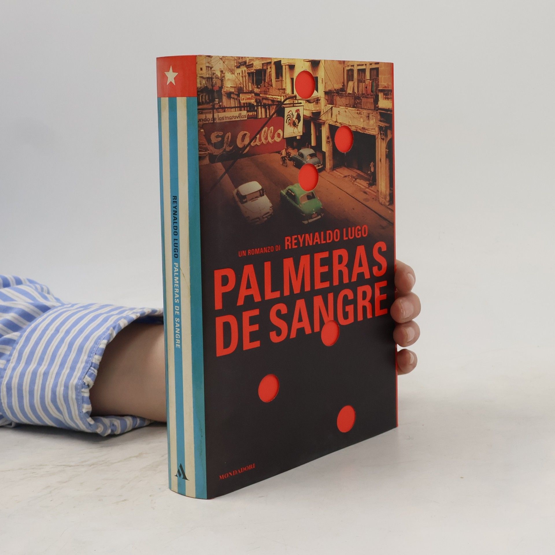Reynaldo Lugo Palmeras de sangre