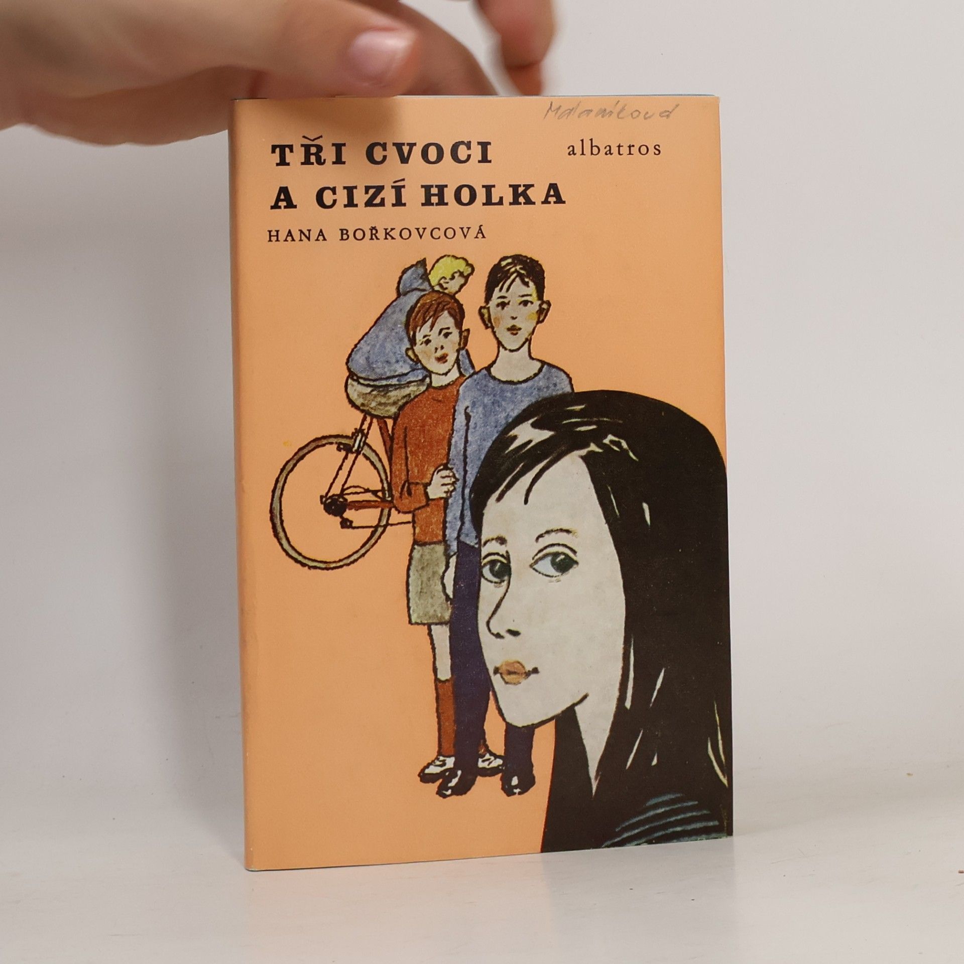 Hana Bořkovcová Tři cvoci a cizí holka
