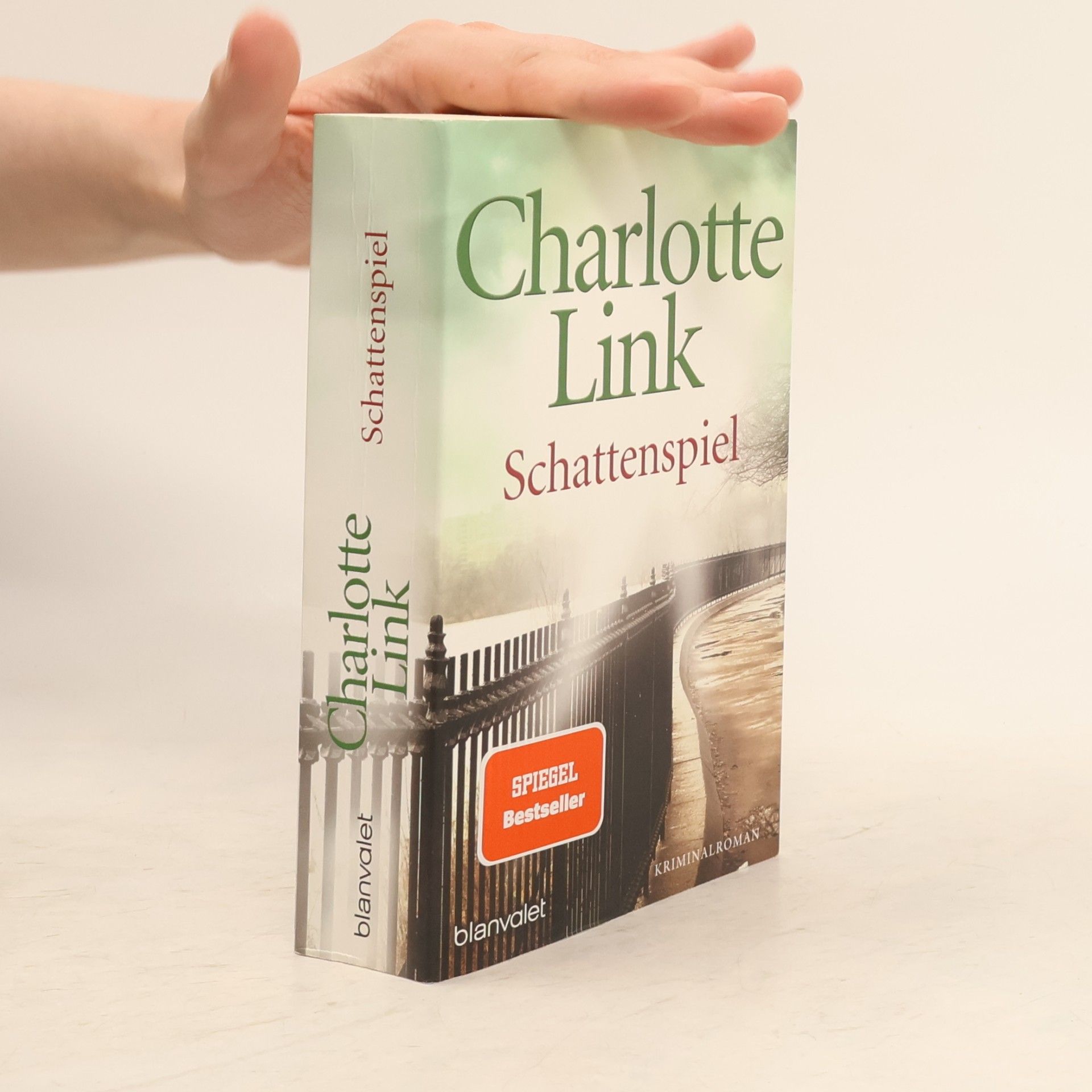 Charlotte Link Schattenspiel