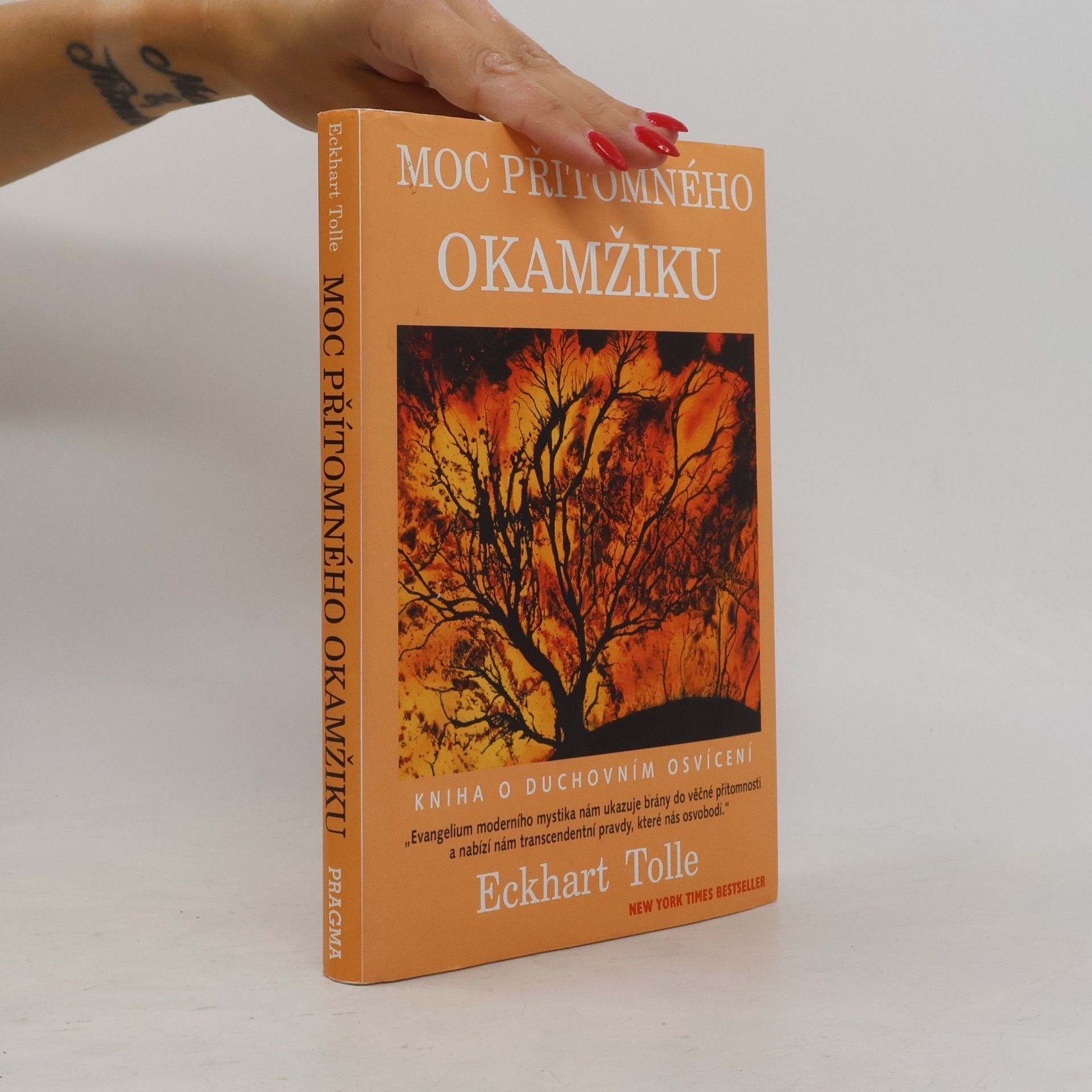 Eckhart Tolle Moc přítomného okamžiku
