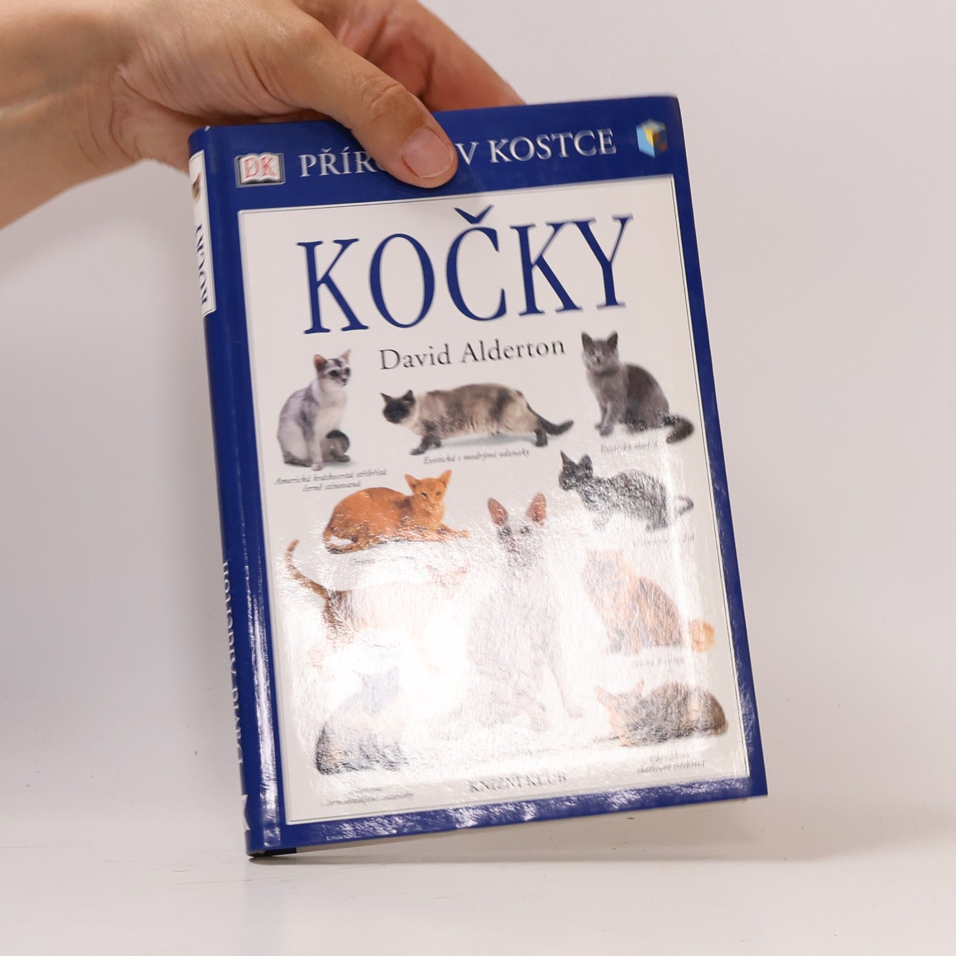Don Harper Kočky