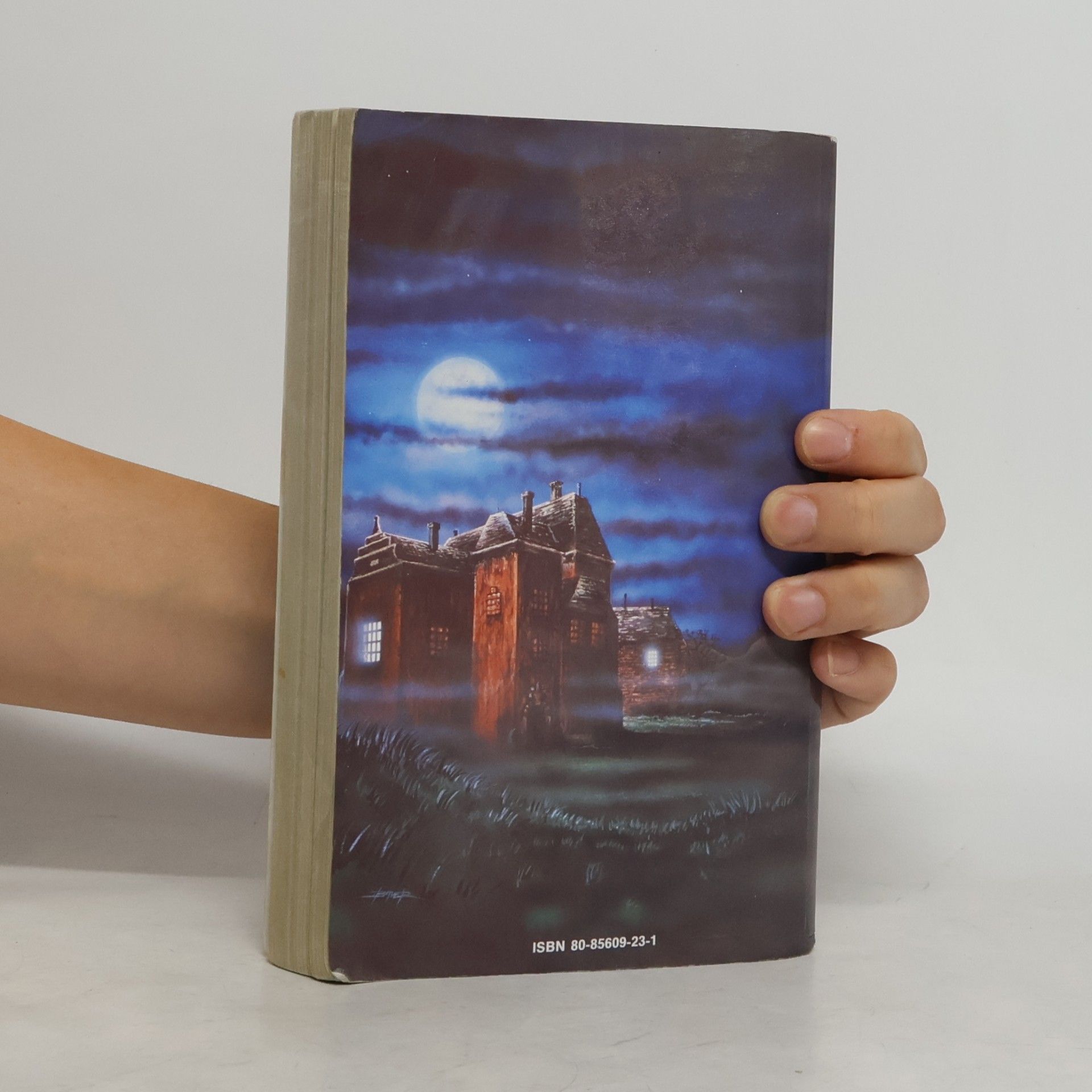 Suzy McKee Charnas Poslední upír