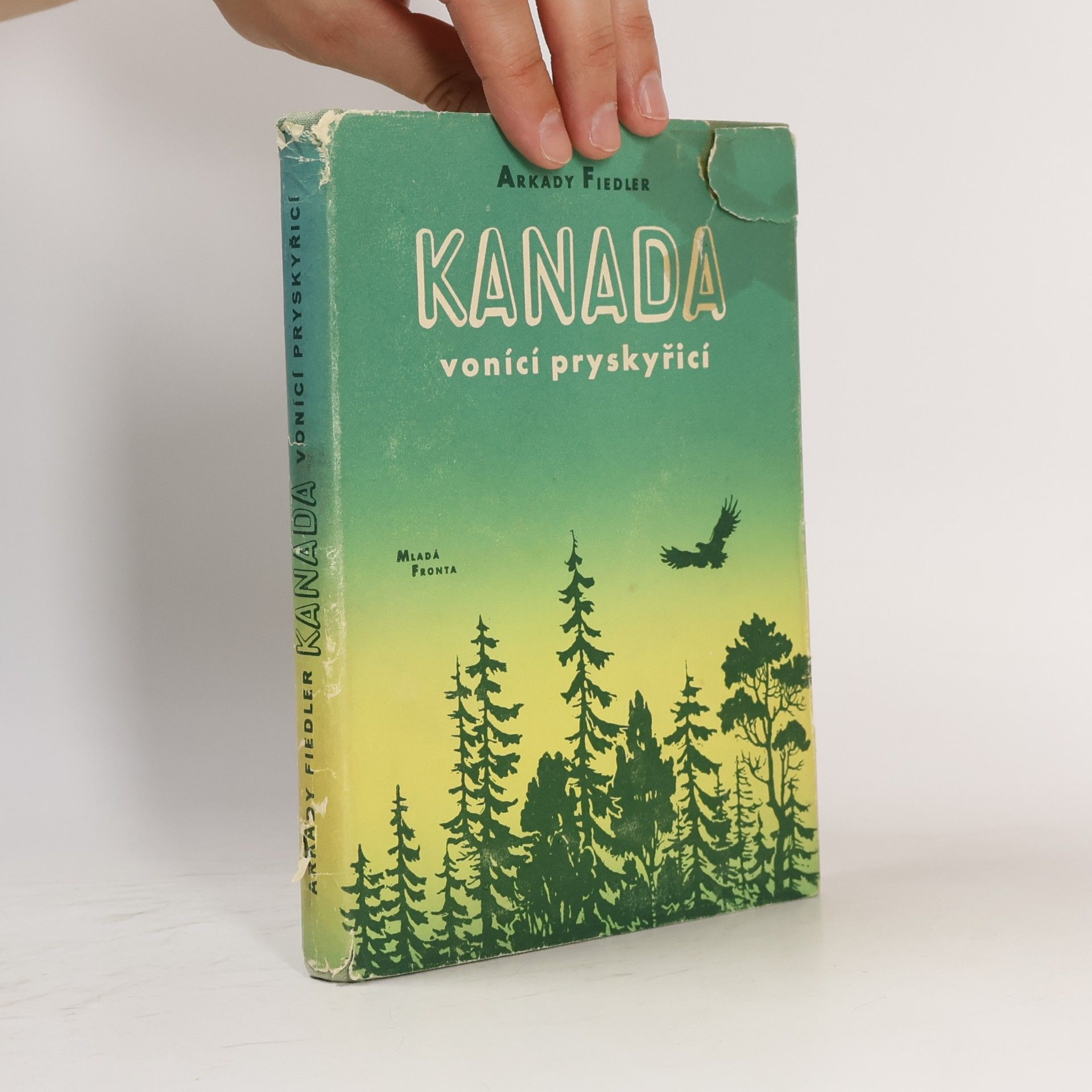 Arkady Fiedler Kanada vonící pryskyřicí