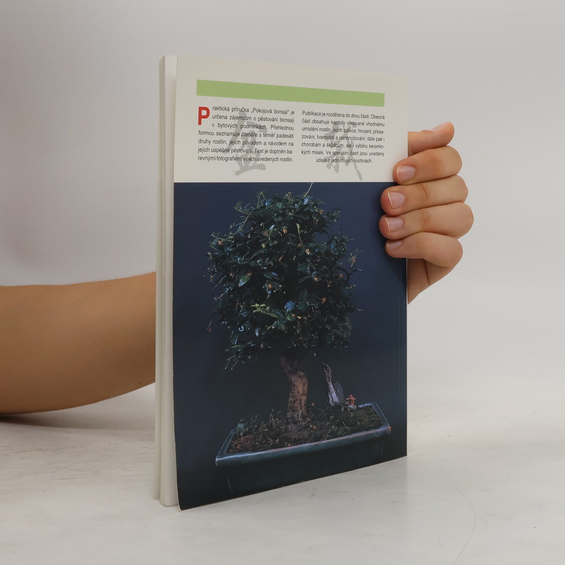 Jindřich Votýpka Pokojová bonsai
