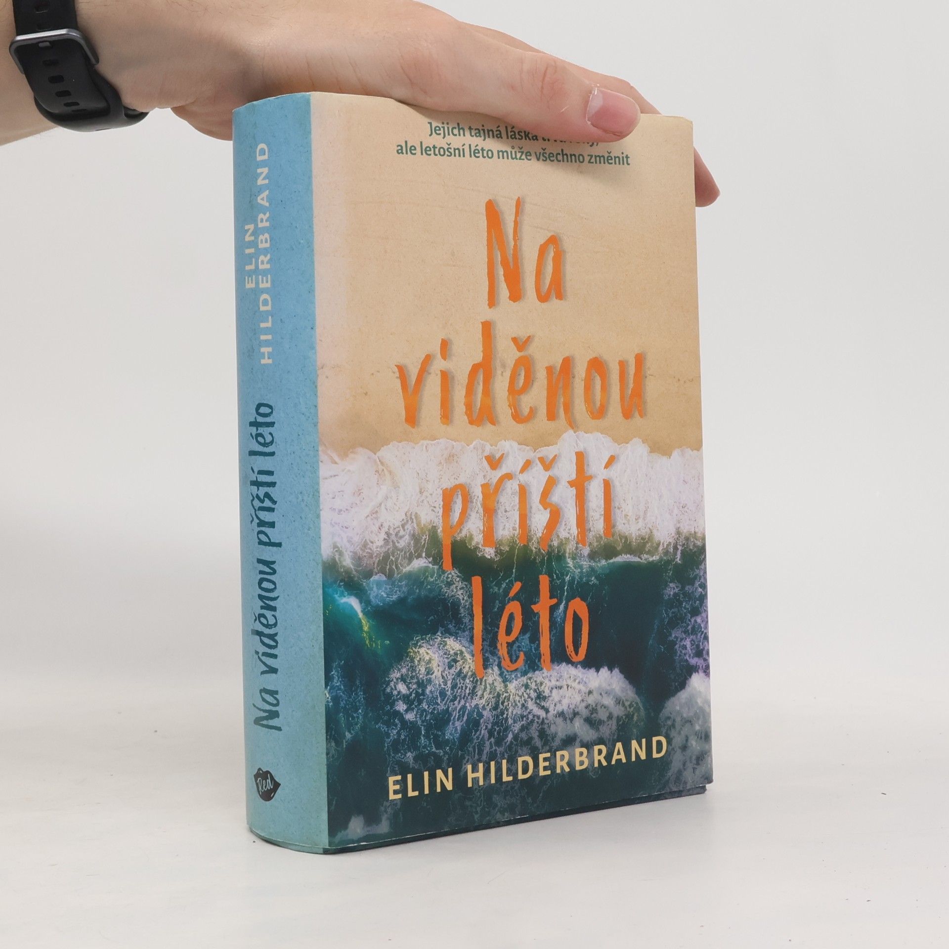 Elin Hilderbrand Na viděnou příští léto