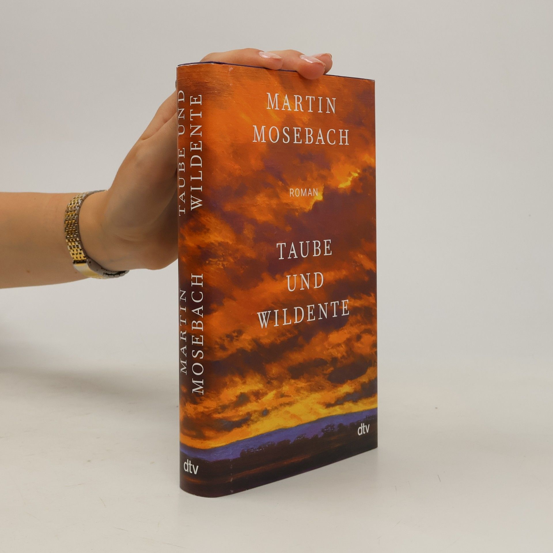 Martin Mosebach Taube und Wildente