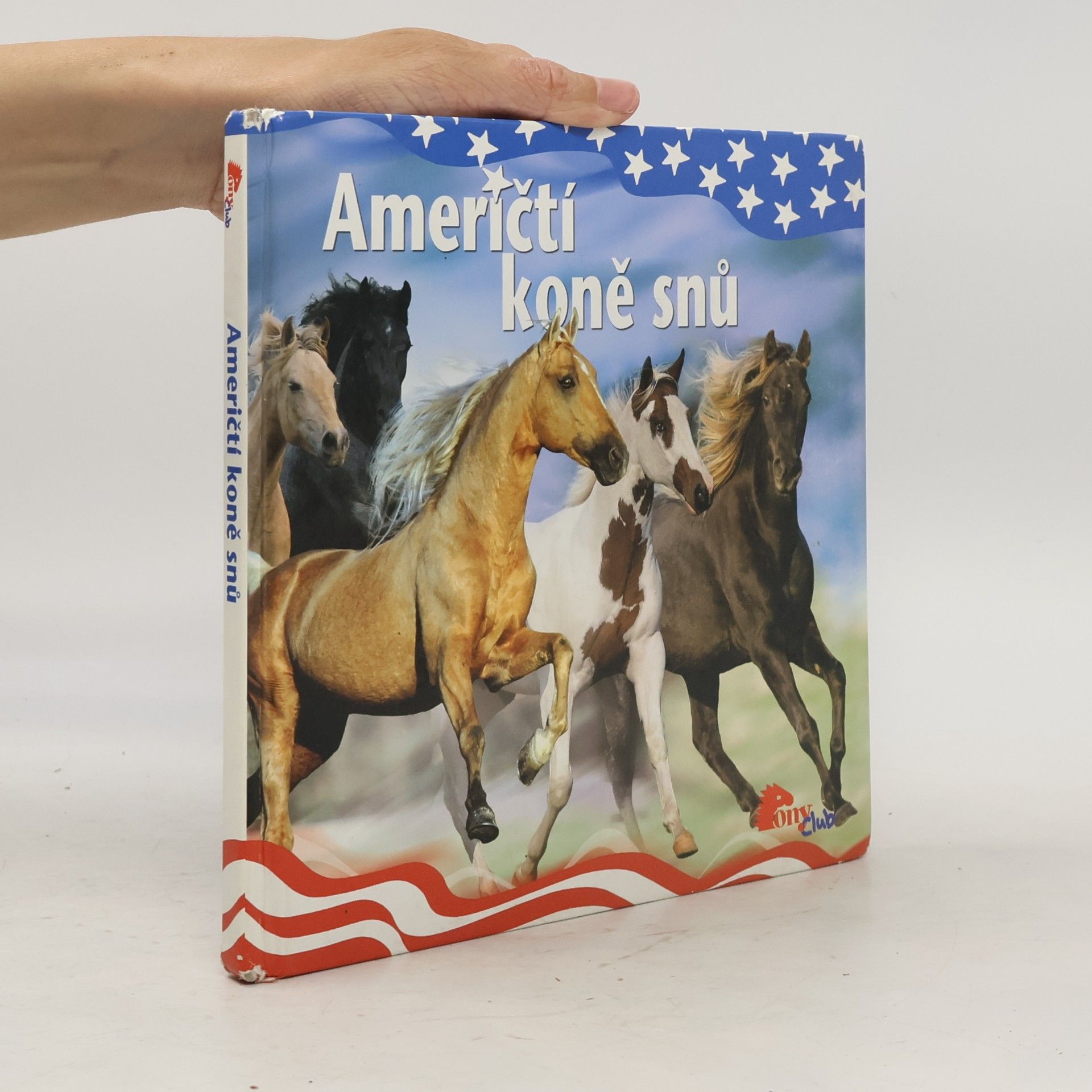 Kolektiv autorů Američtí koně snů