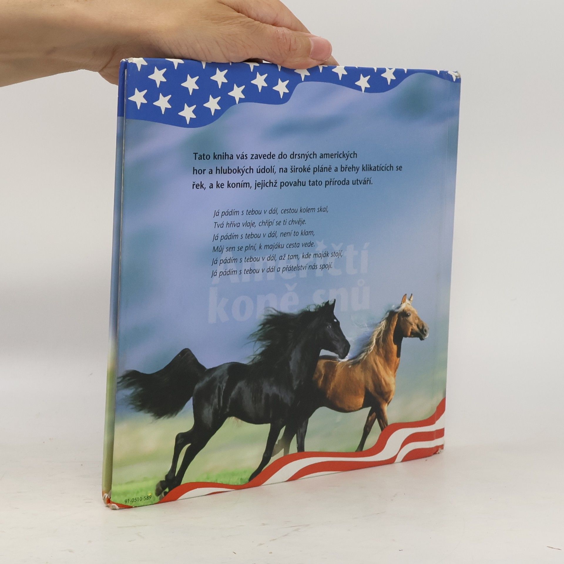 Kolektiv autorů Američtí koně snů