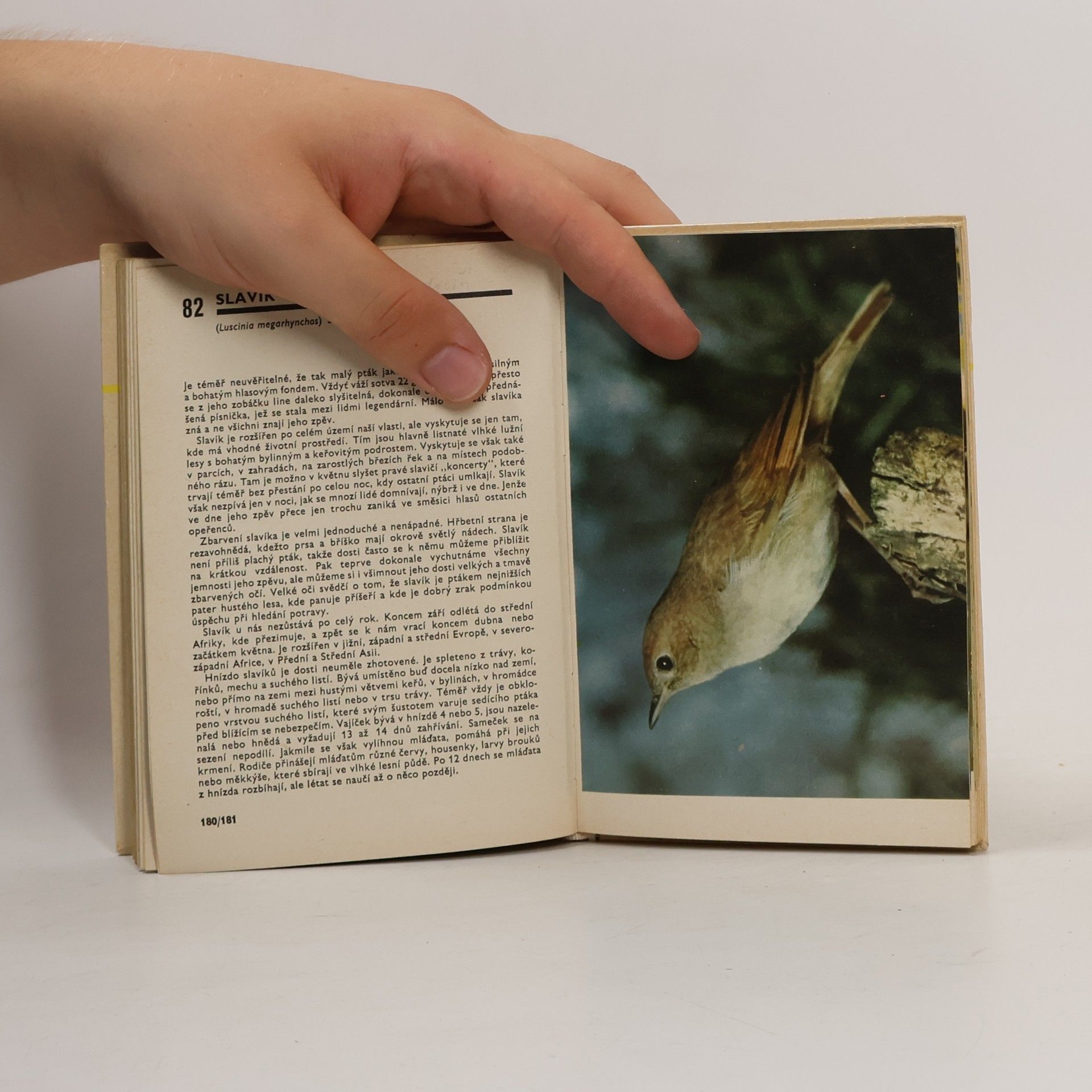 Miroslav Bouchner Kapesní atlas ptáků