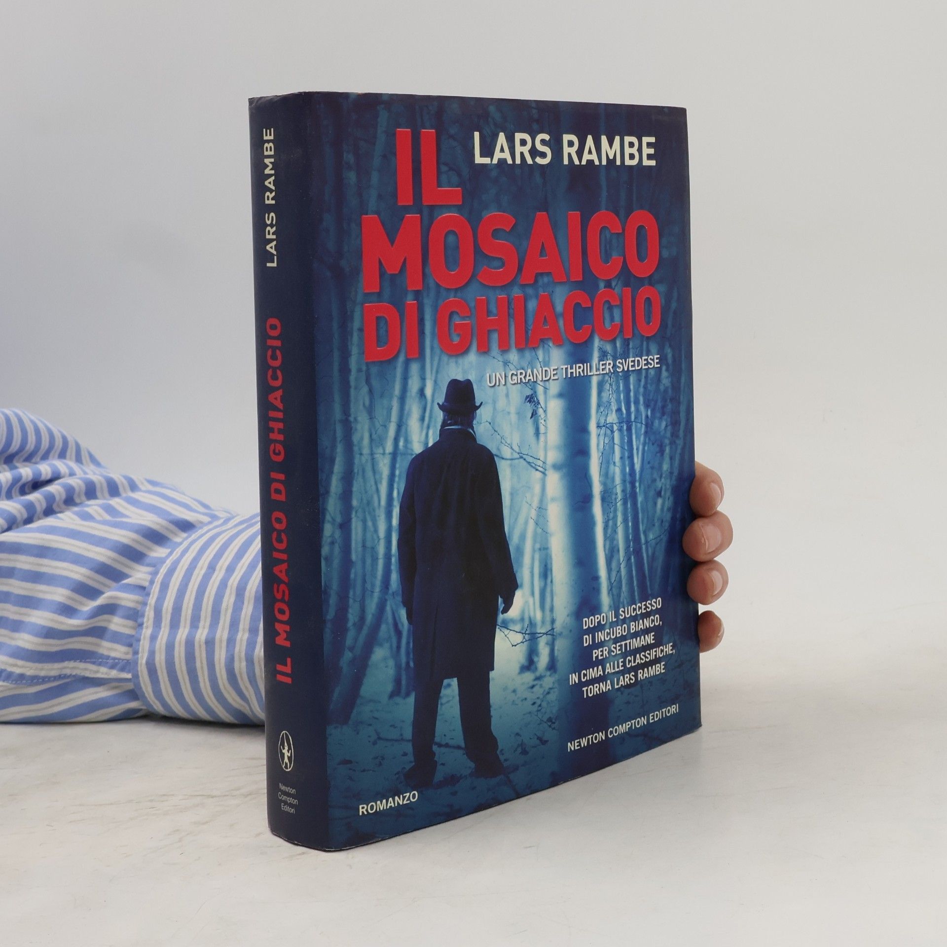 Lars Rambe Il mosaico di ghiaccio