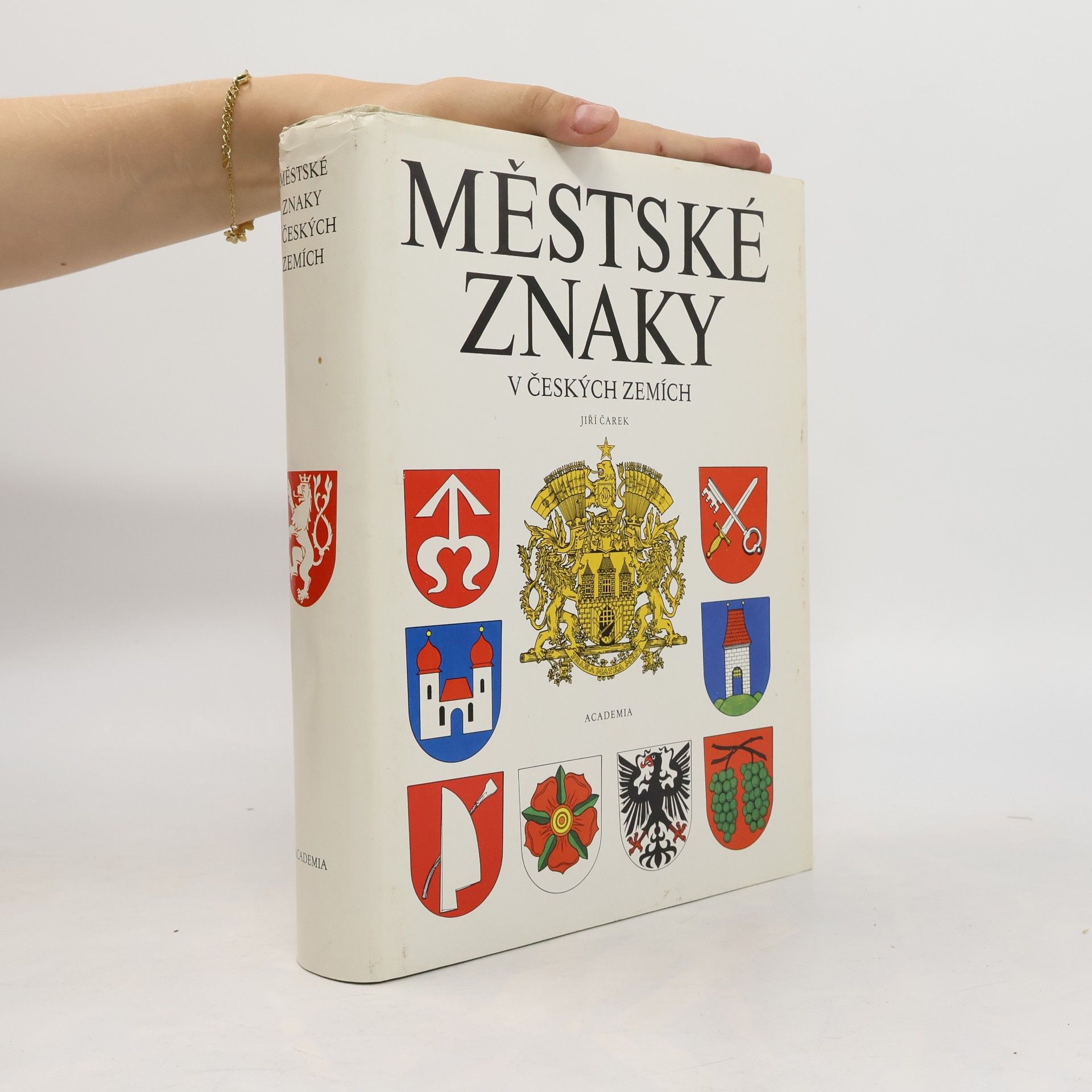 Jiří Čarek Městské znaky v českých zemích
