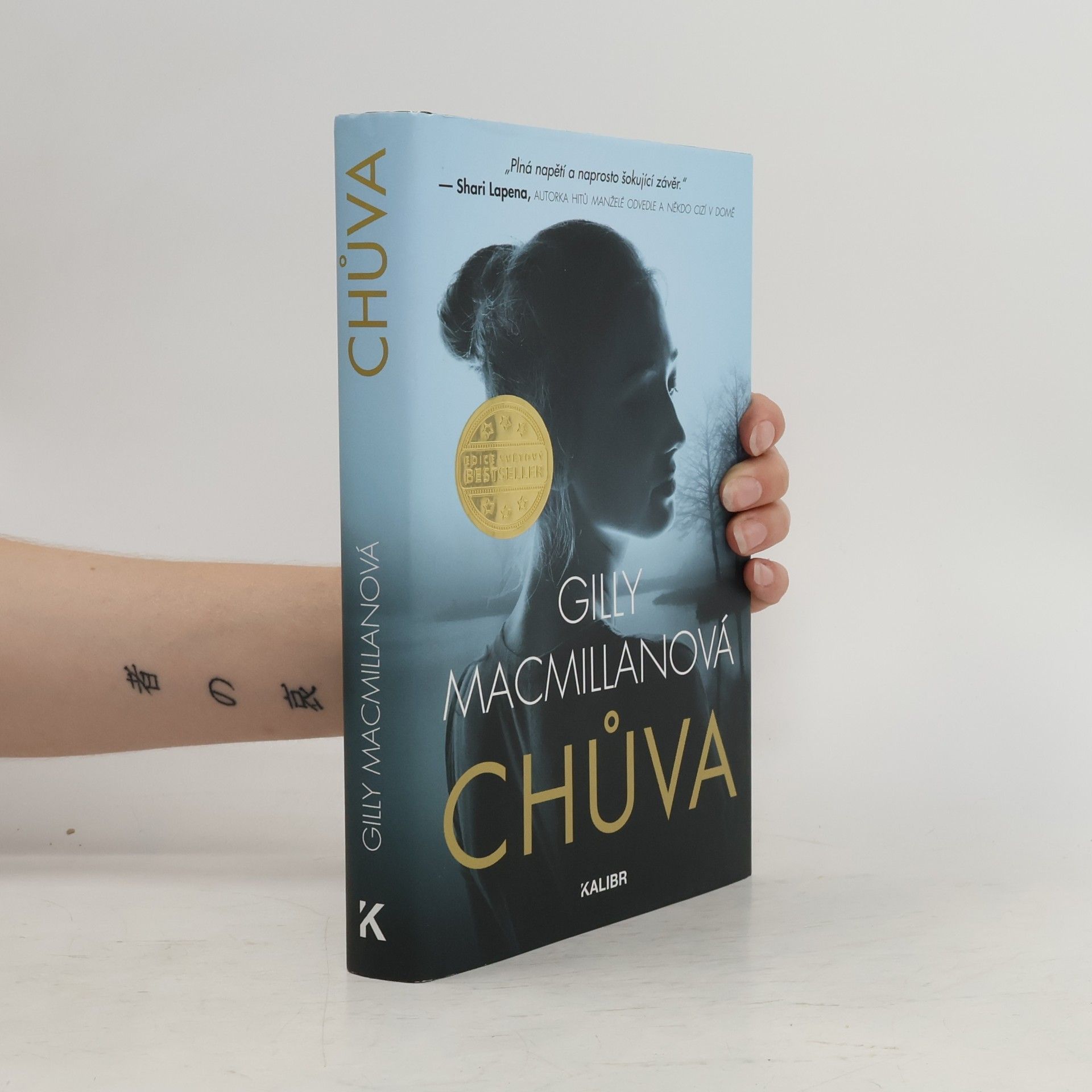 Gilly Macmillan Chůva