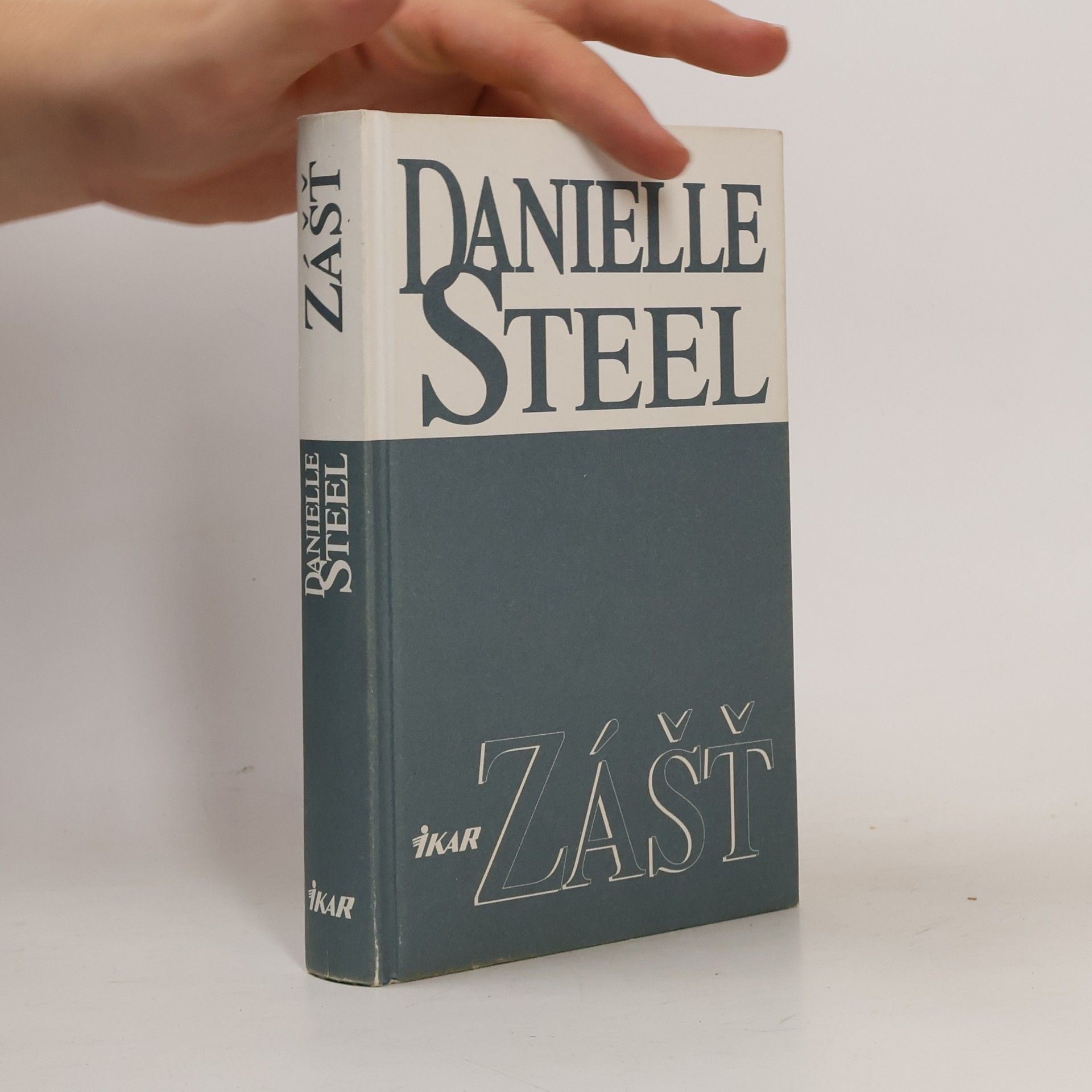 Danielle Steel Zášť
