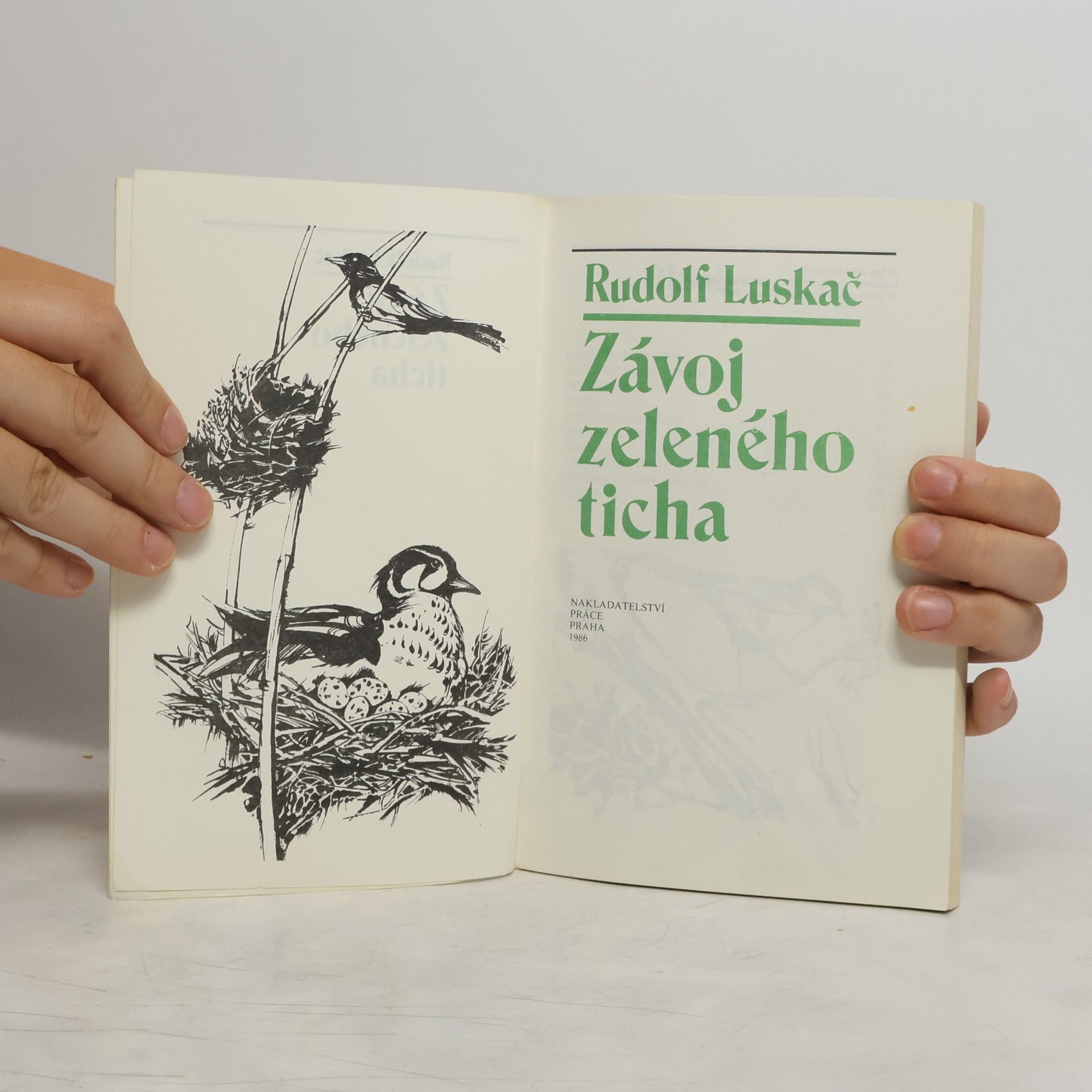 Rudolf Luskač Závoj zeleného ticha