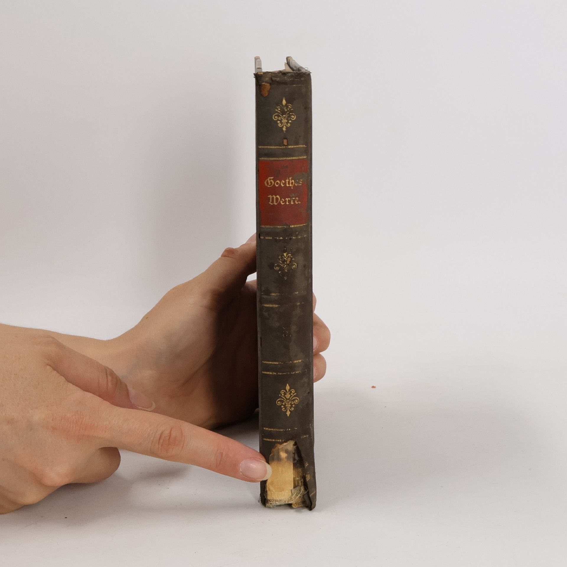 Johann Wolfgang von Goethe Goethes Sämtliche Werke