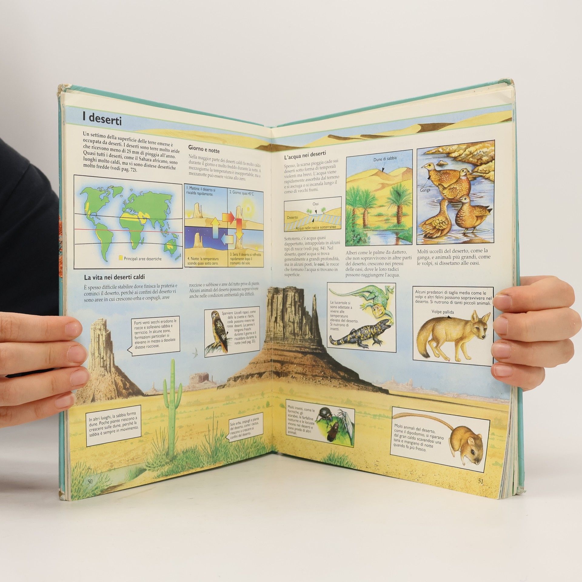 Leslie Colvin Enciclopedie - Usborne