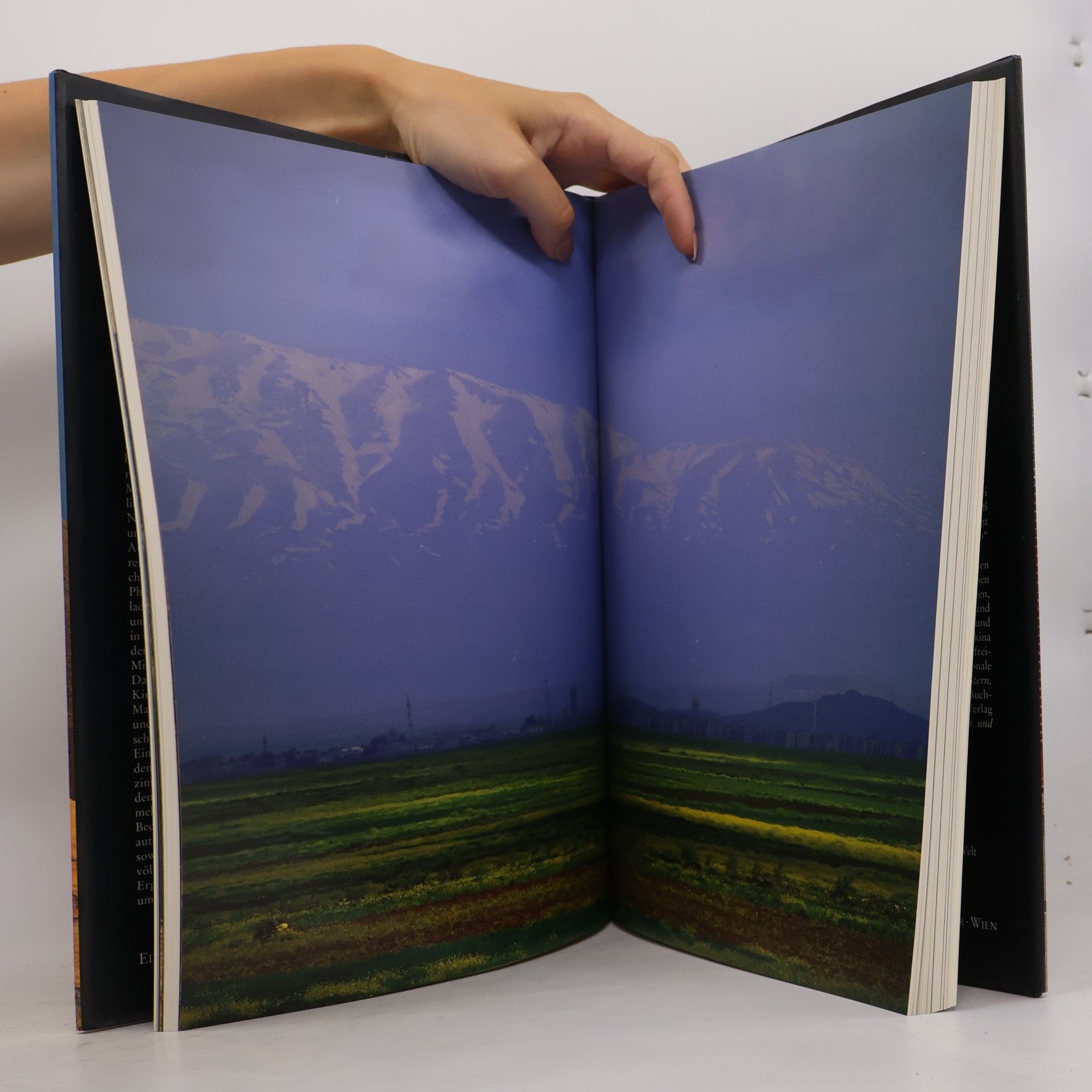 Walter Weiss Syrien