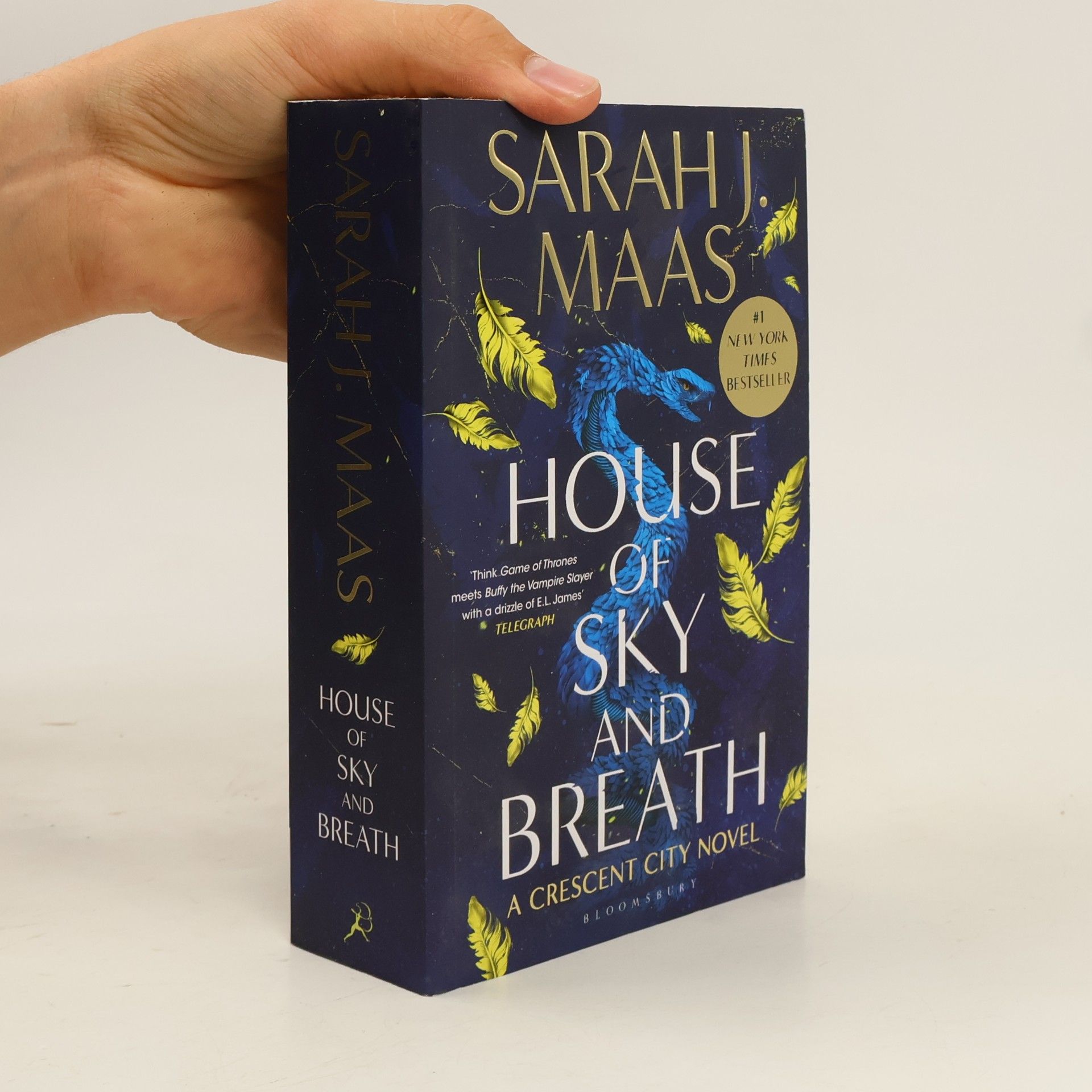 Sarah J. Maas House of Sky and Breath