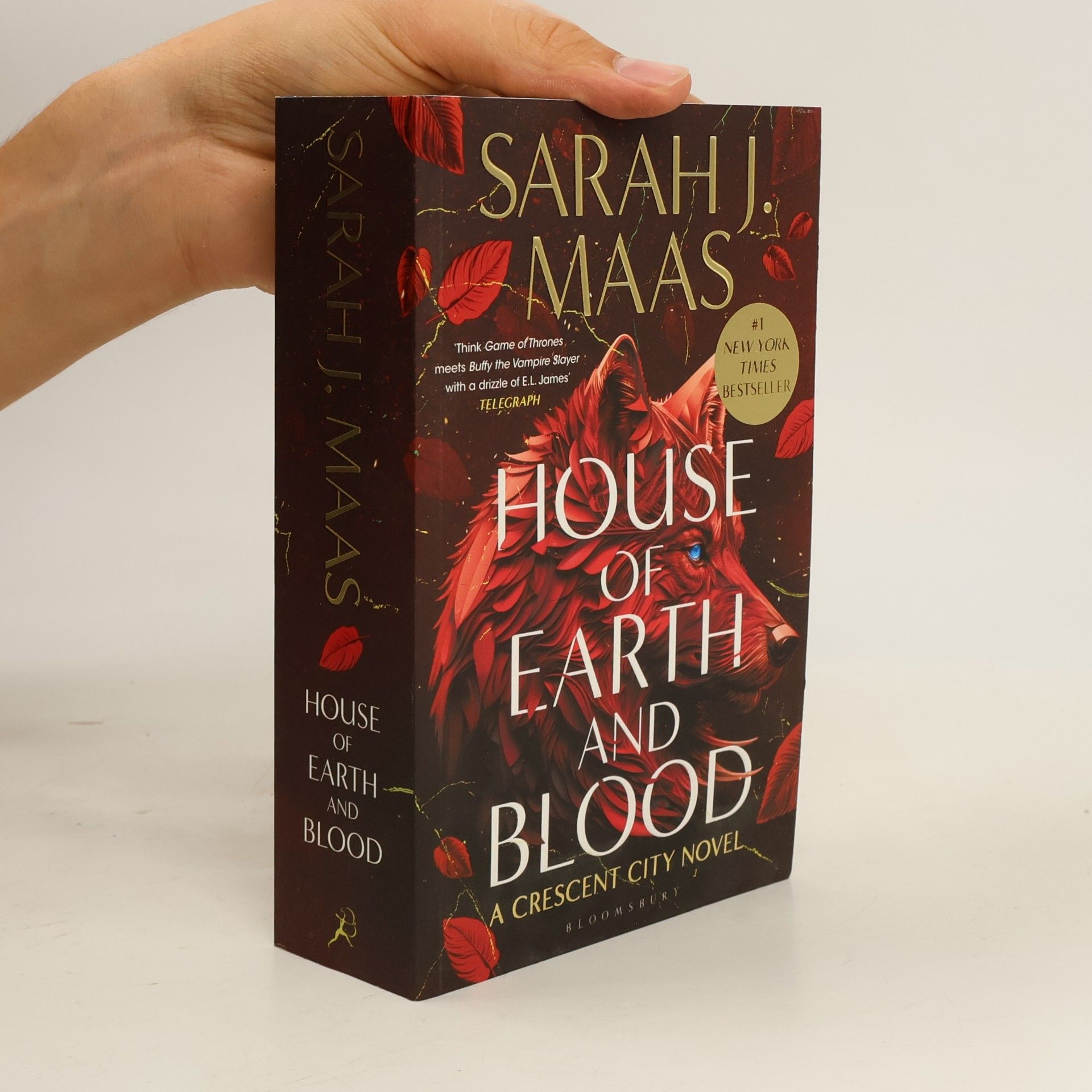 Sarah J. Maas House of Earth and Blood