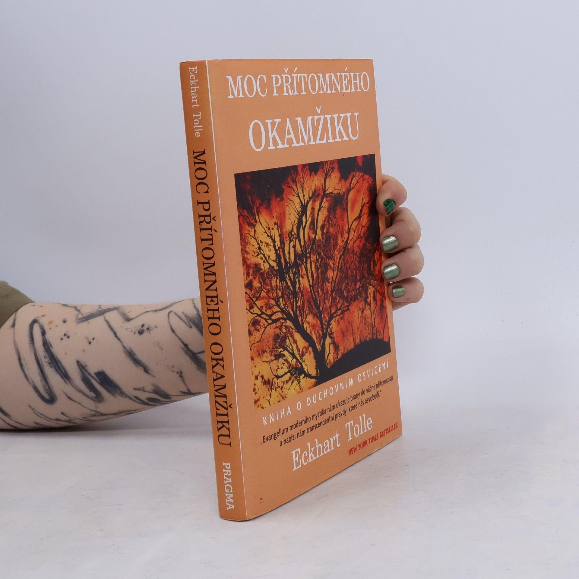 Eckhart Tolle Moc přítomného okamžiku