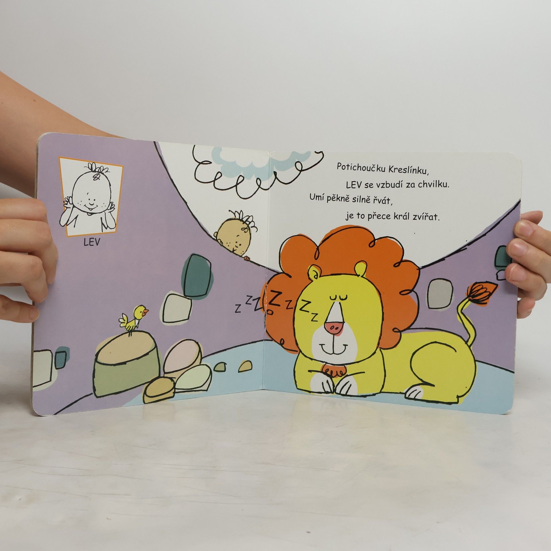 Collectif d'auteurs Učíme se znakovat v ZOO s Kreslínkem