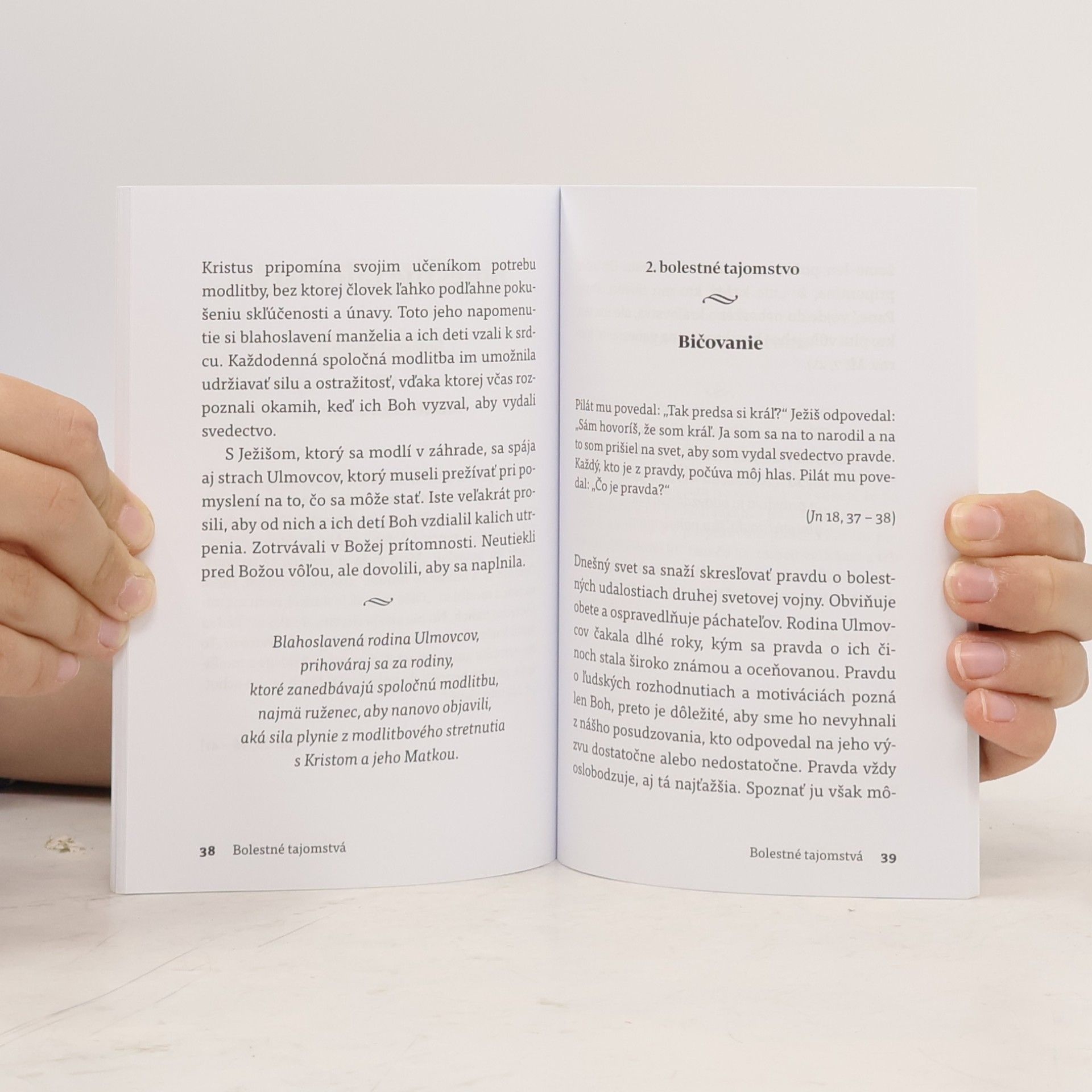 Kolektiv autorů Modlitba ruženca s rodinou Ulmovcov