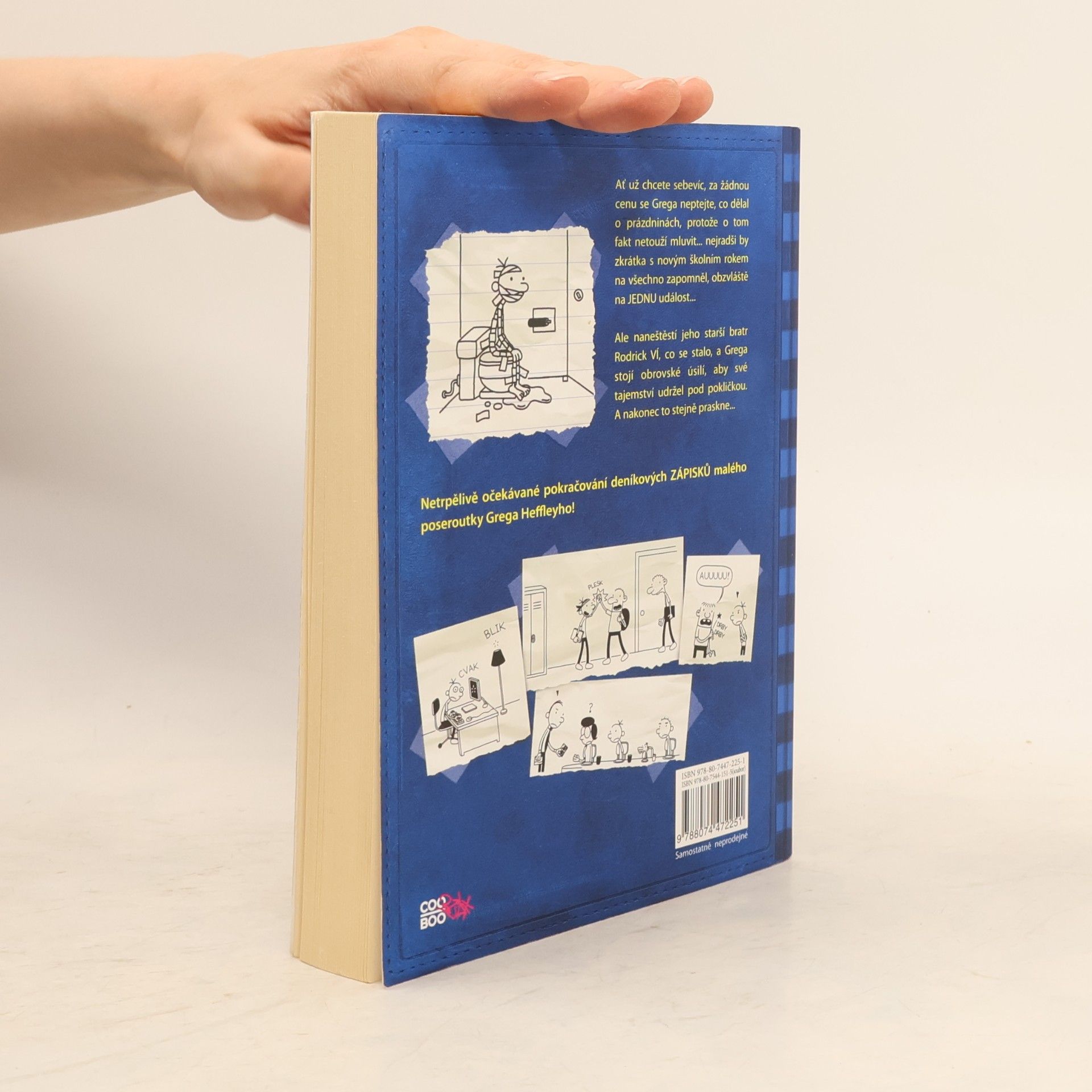Jeff Kinney Deník malého poseroutky 2. Roderick je King