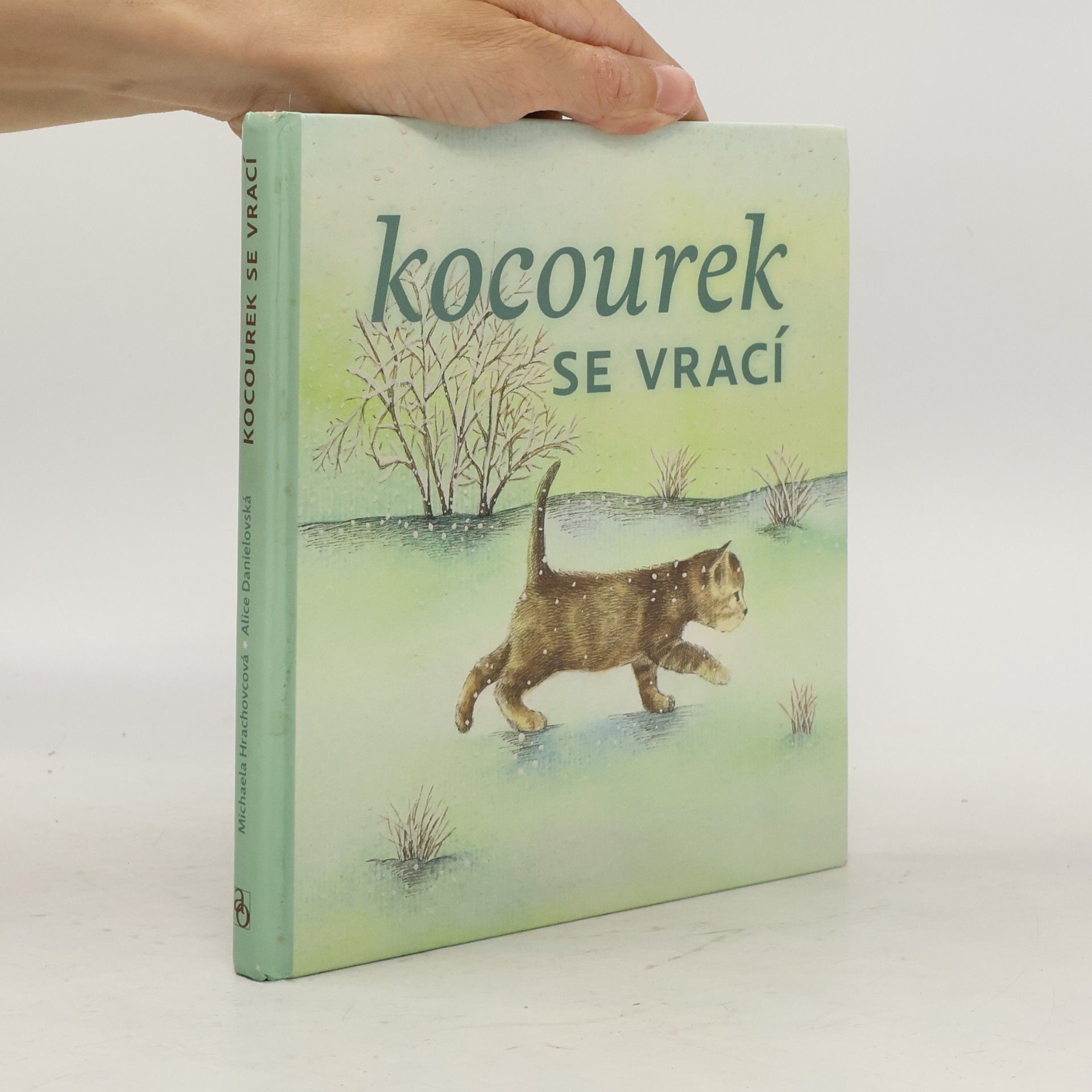 Michaela Hrachovcová Kocourek se vrací