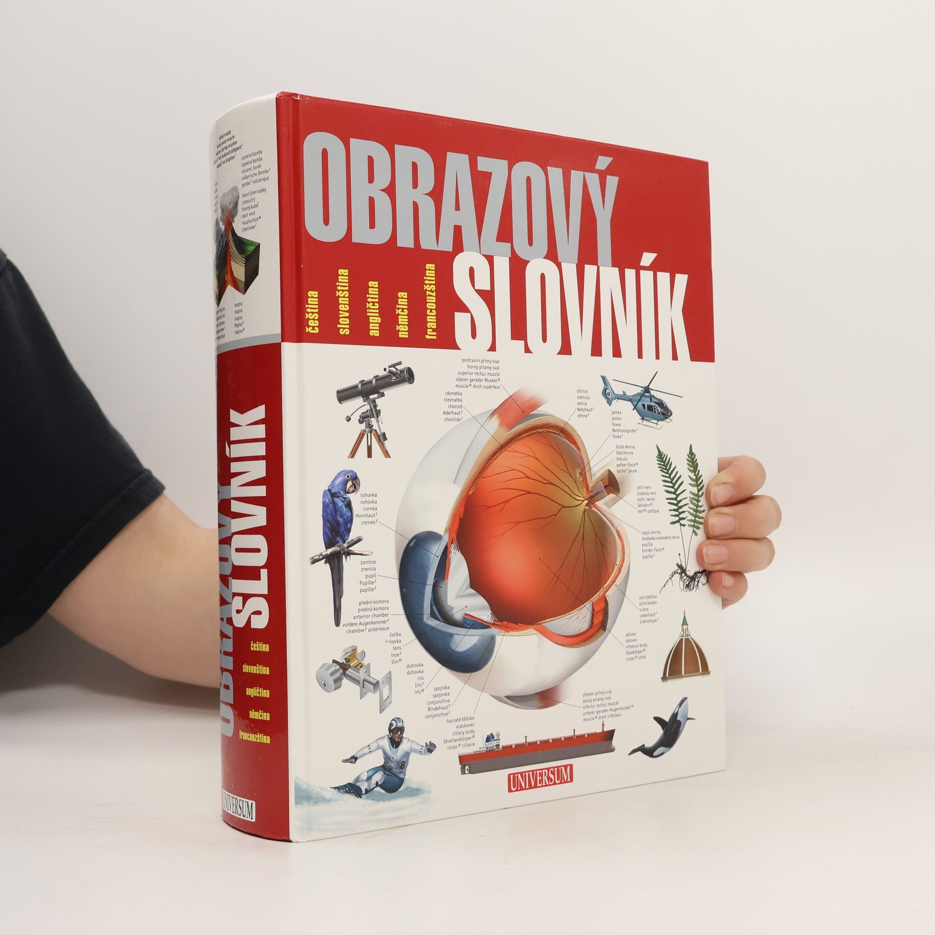 Obrazový slovník : čeština, slovenština, angličtina, němčina, francouzština