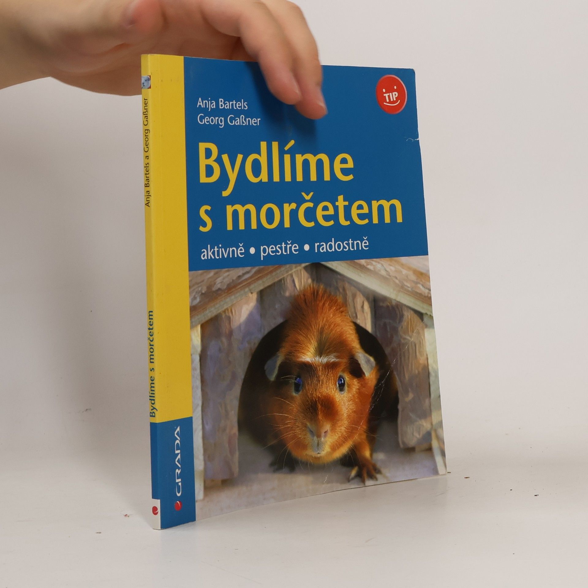 Anja Bartels Bydlíme s morčetem