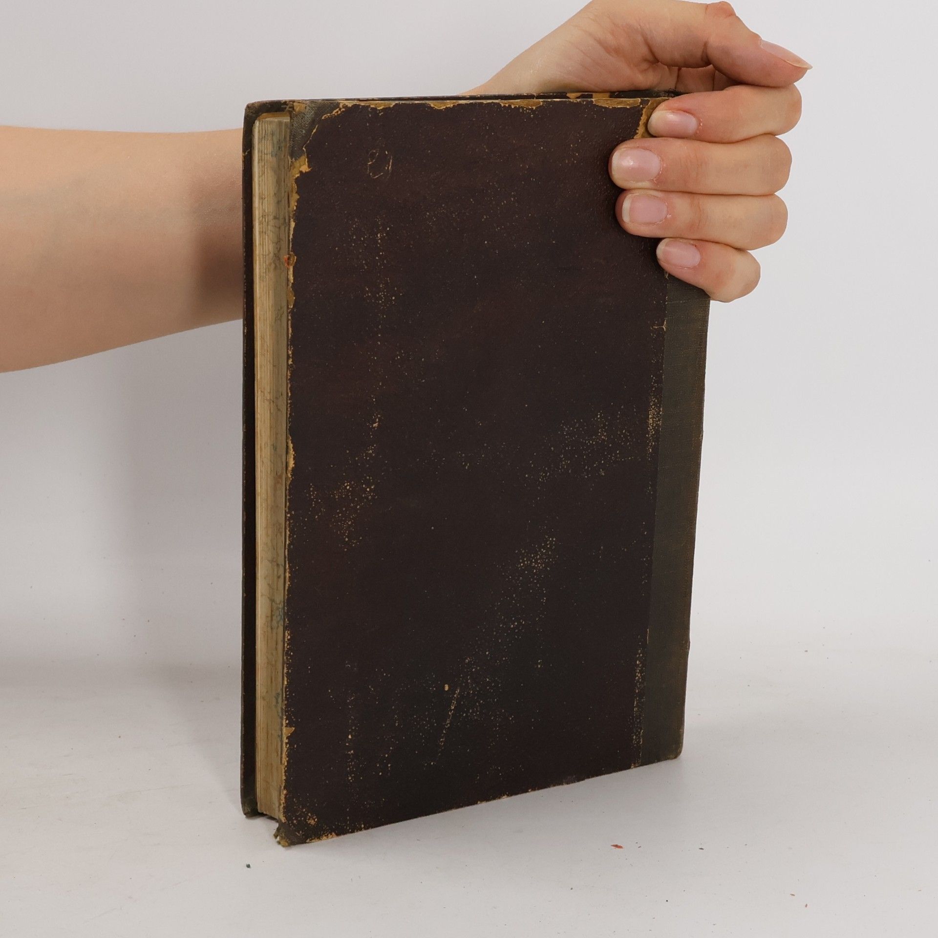 A. H. Springer Handbuch der Kunstgeschichte