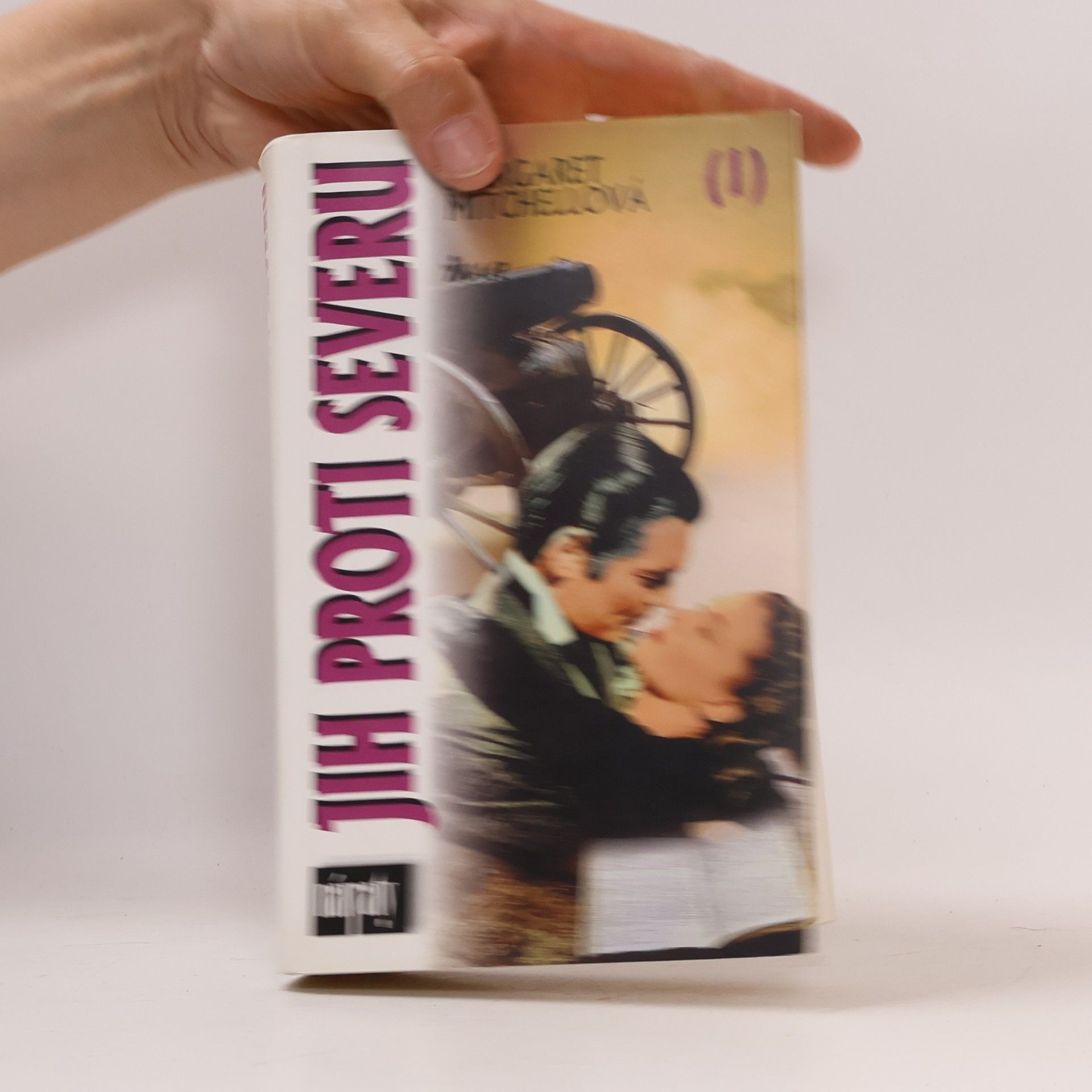 Margaret Mitchell Jih proti Severu I. díl