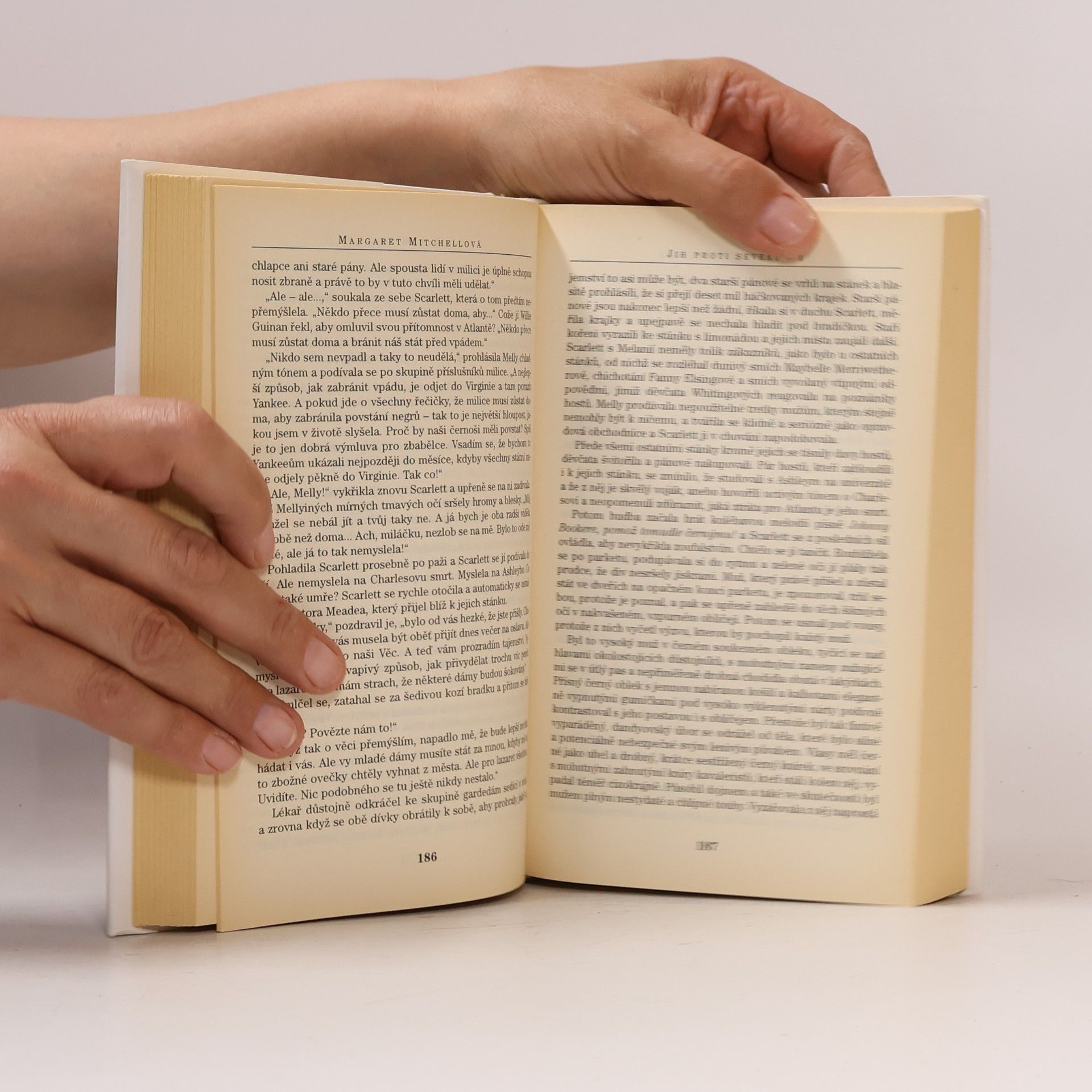 Margaret Mitchell Jih proti Severu I. díl