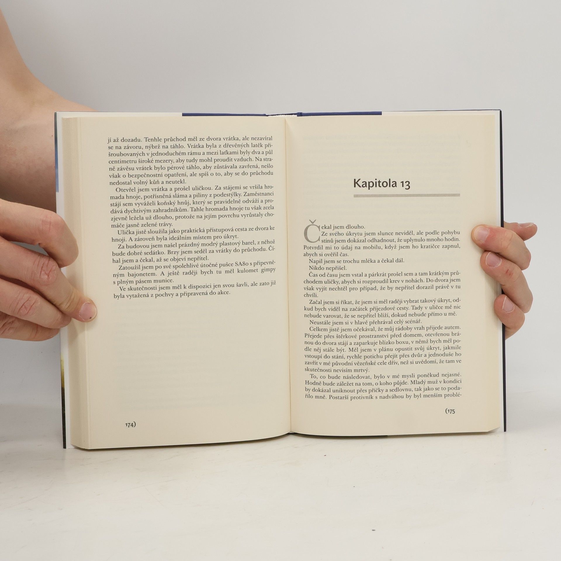 Dick Francis Křížová palba