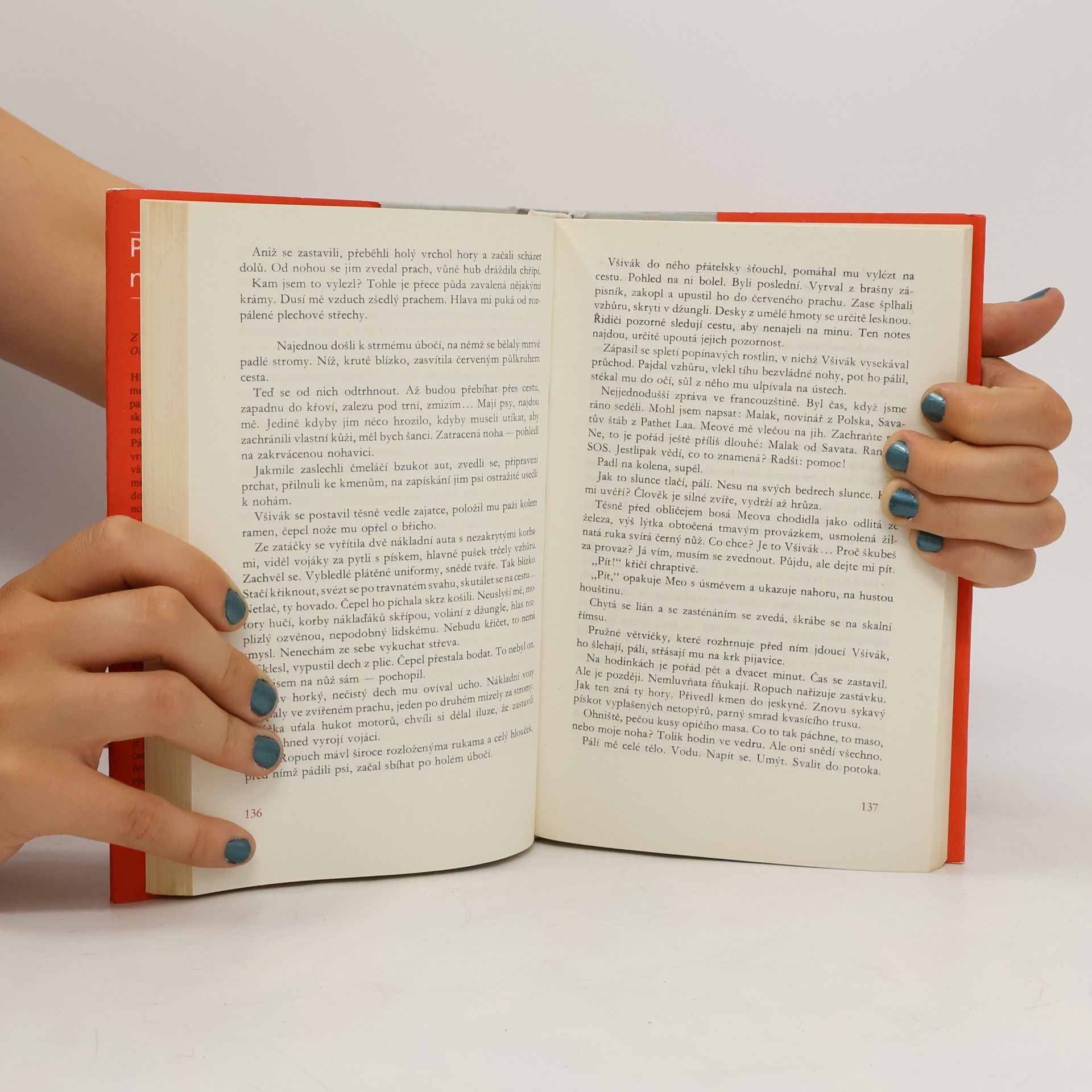 Olga Hostovská Pět polských novel