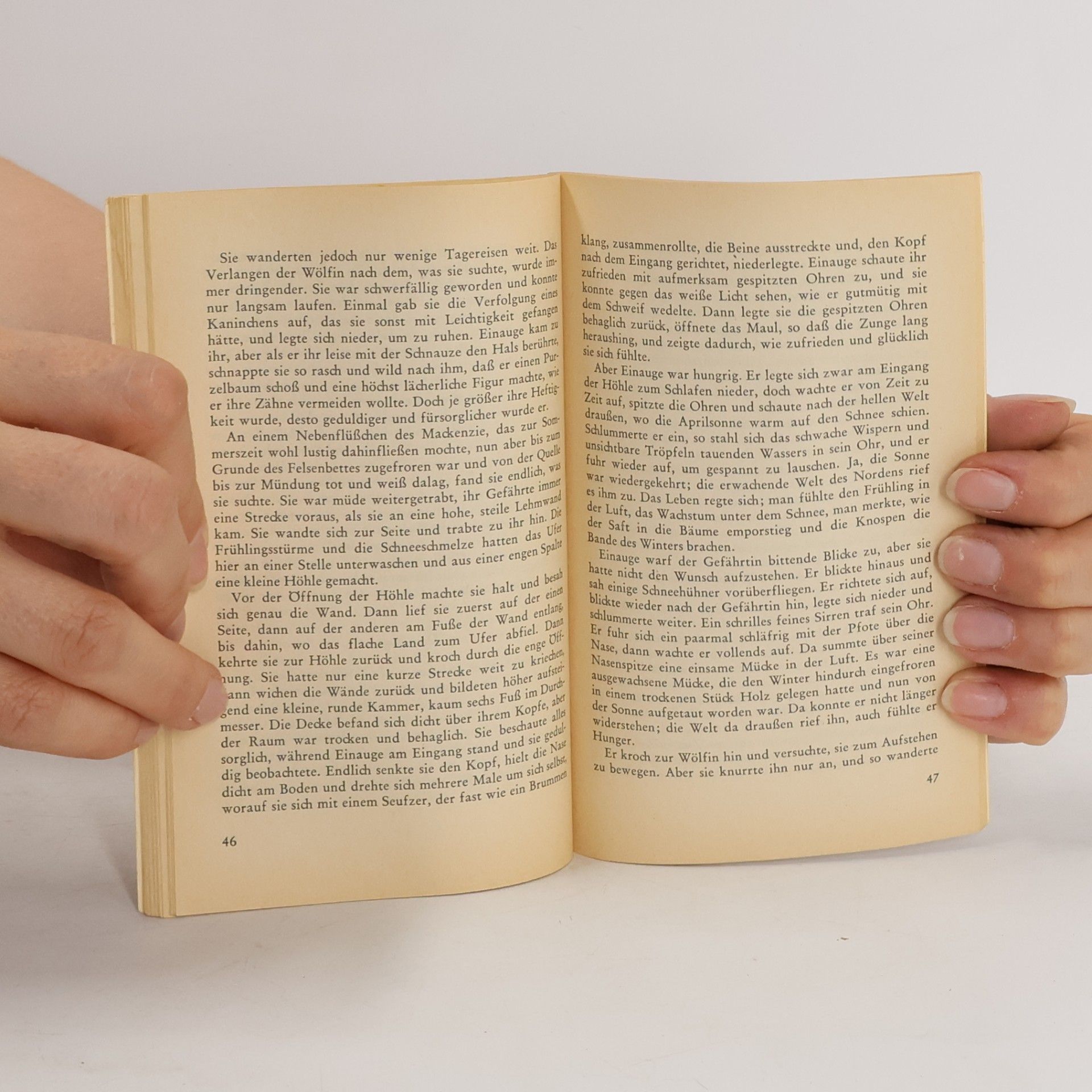 Jack London Eine Beute der Wölfe