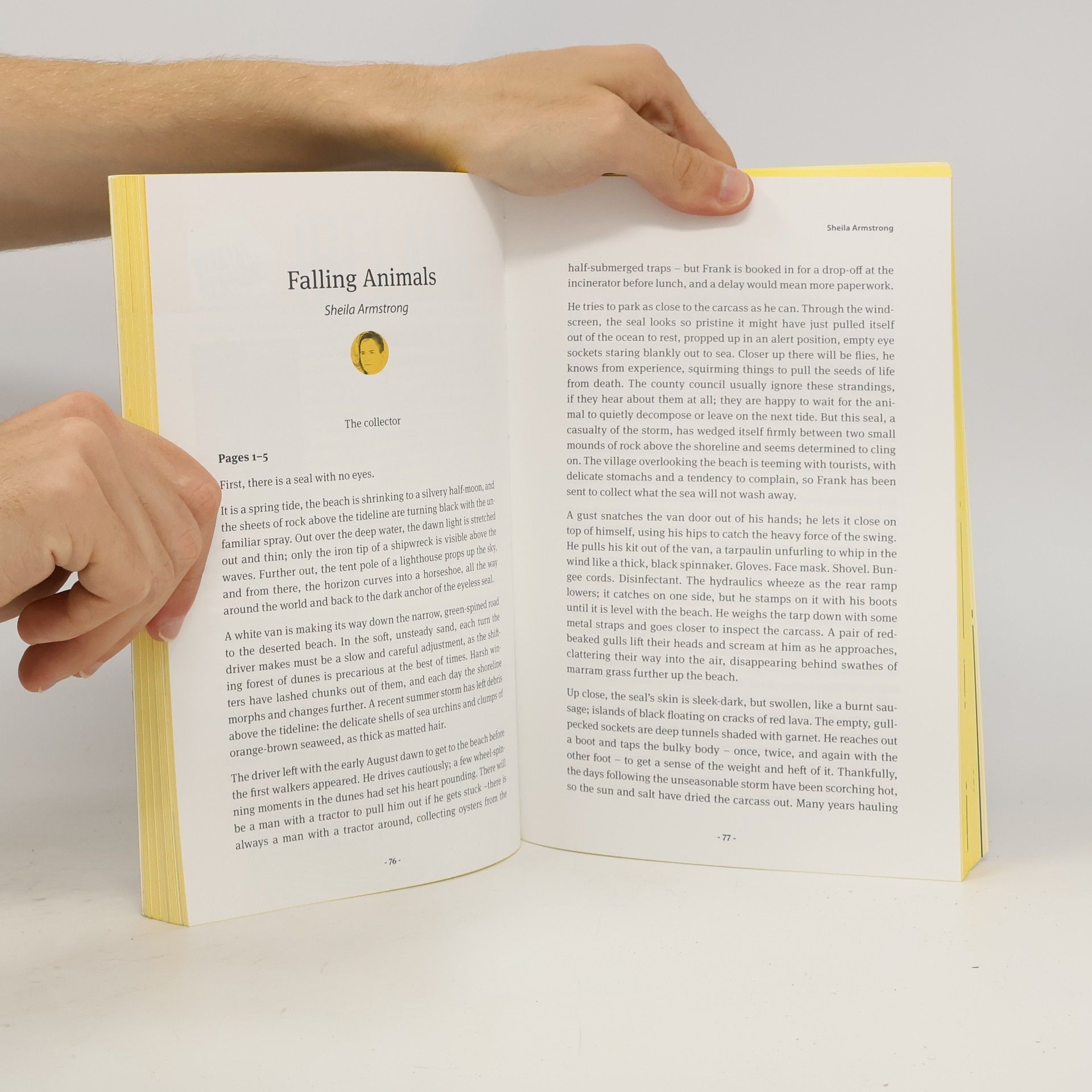 Various authors European Stories