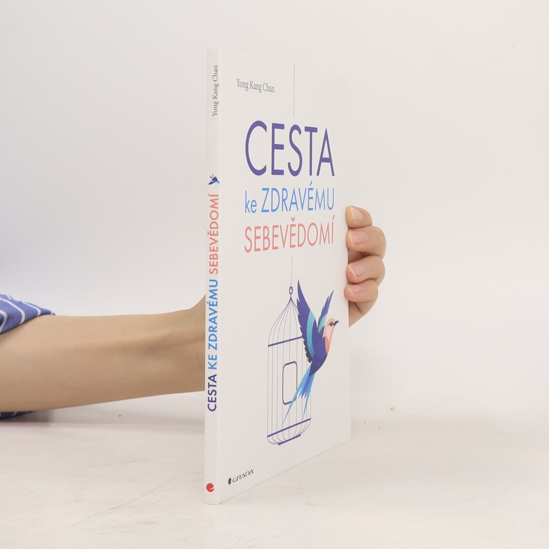 Yong Kang Chan Cesta ke zdravému sebevědomí