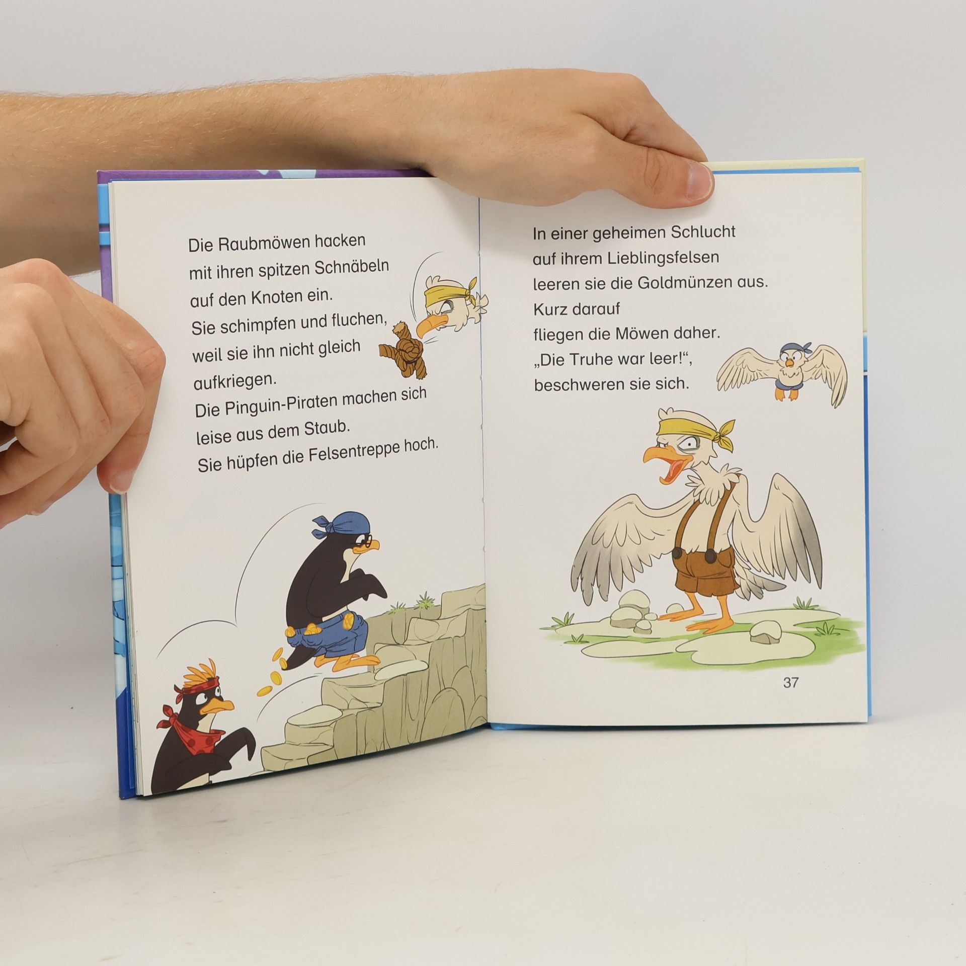 Henriette Wich Die Pinguin-Piraten