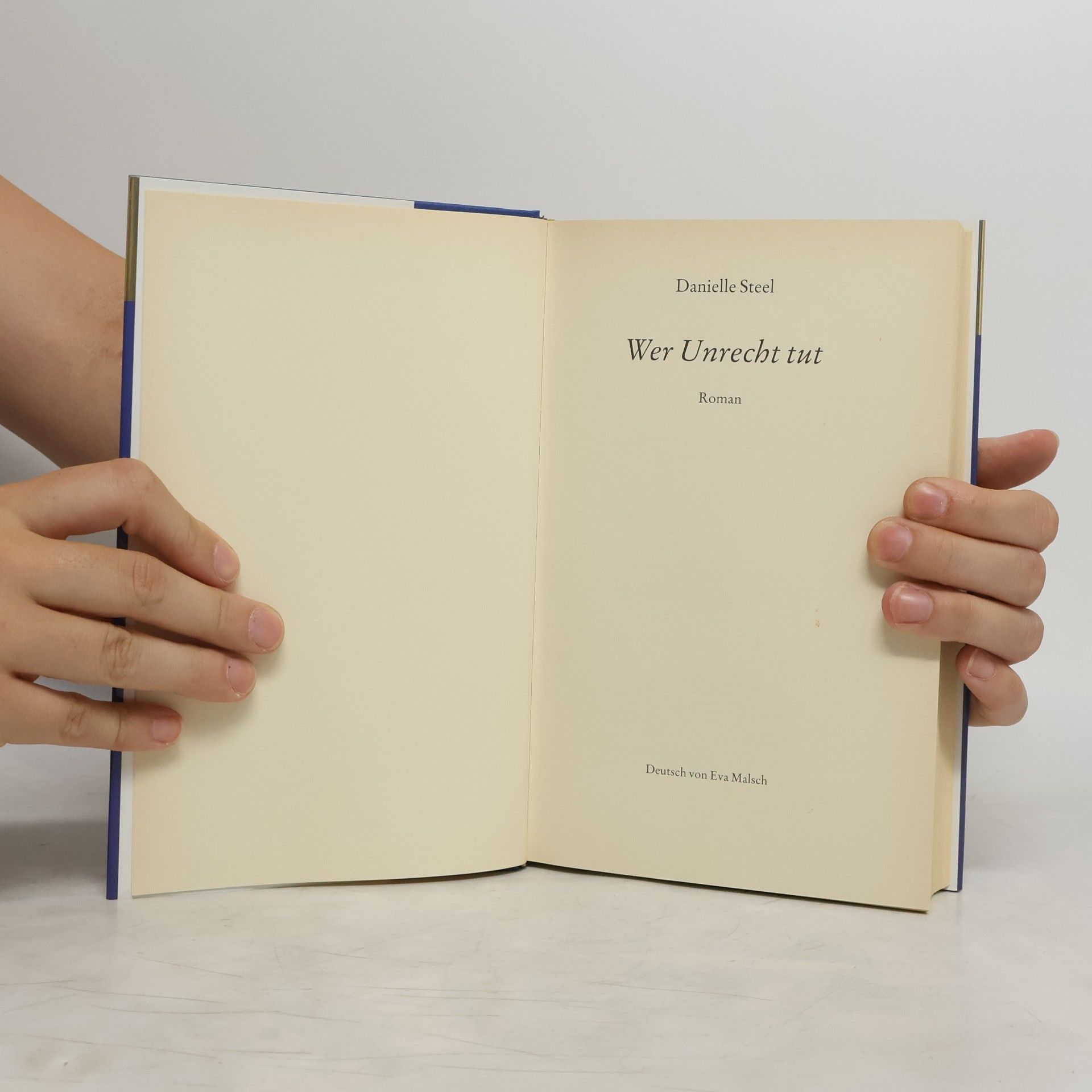 Danielle Steel Wer Unrecht tut