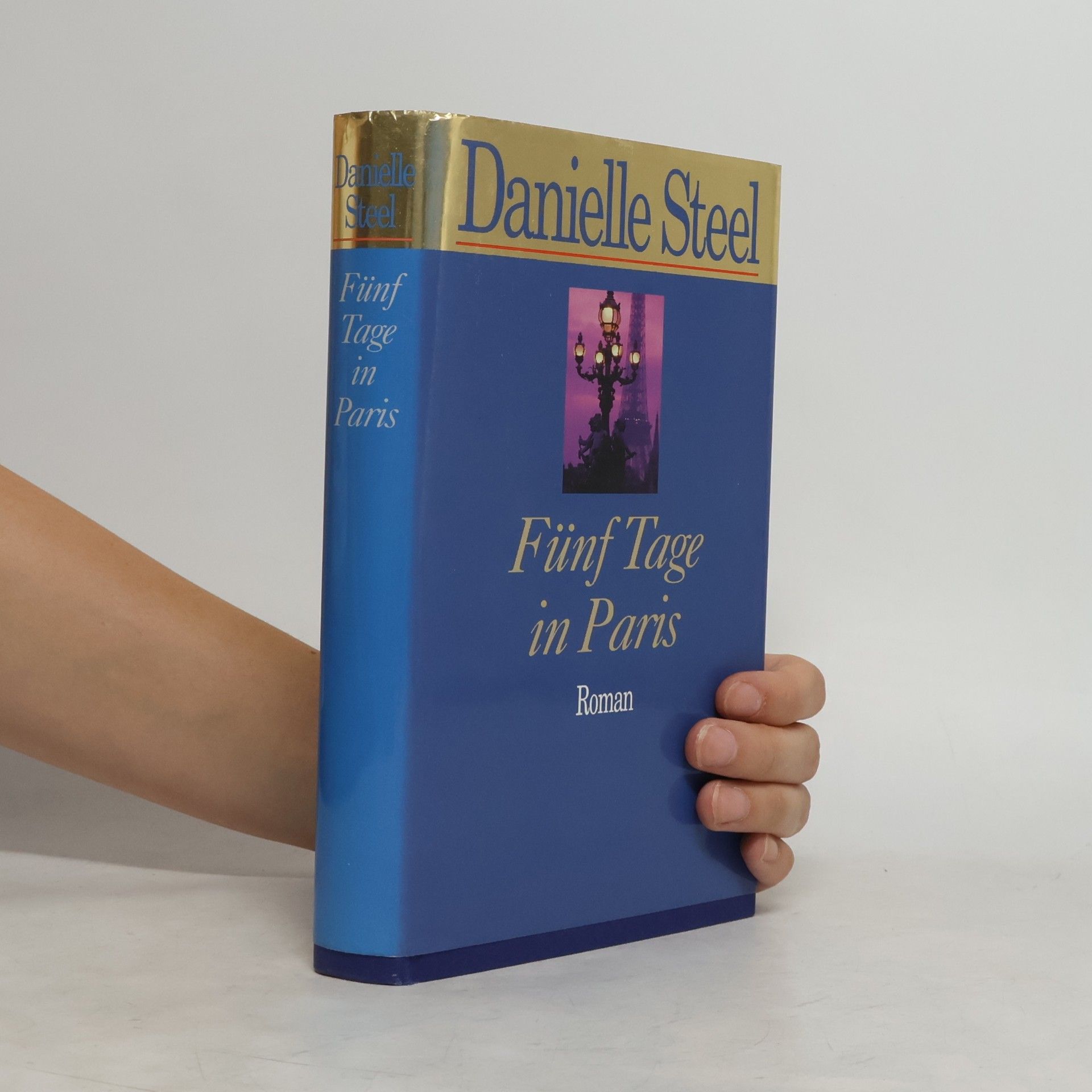Danielle Steel Fünf Tage in Paris