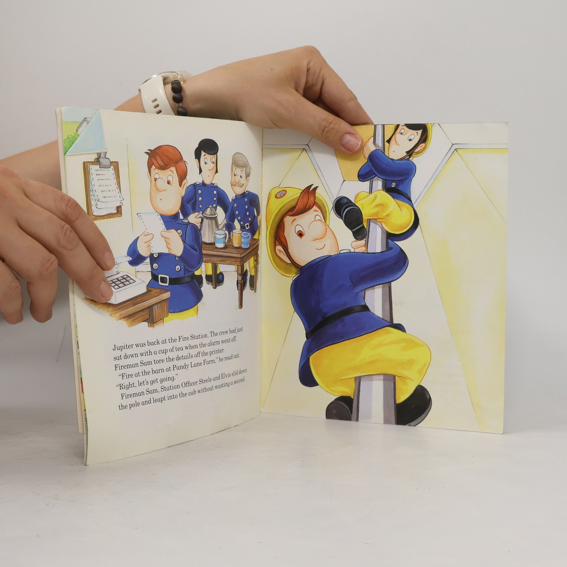 Caroline Hill Trevor Fireman Sam and the Farm Fire