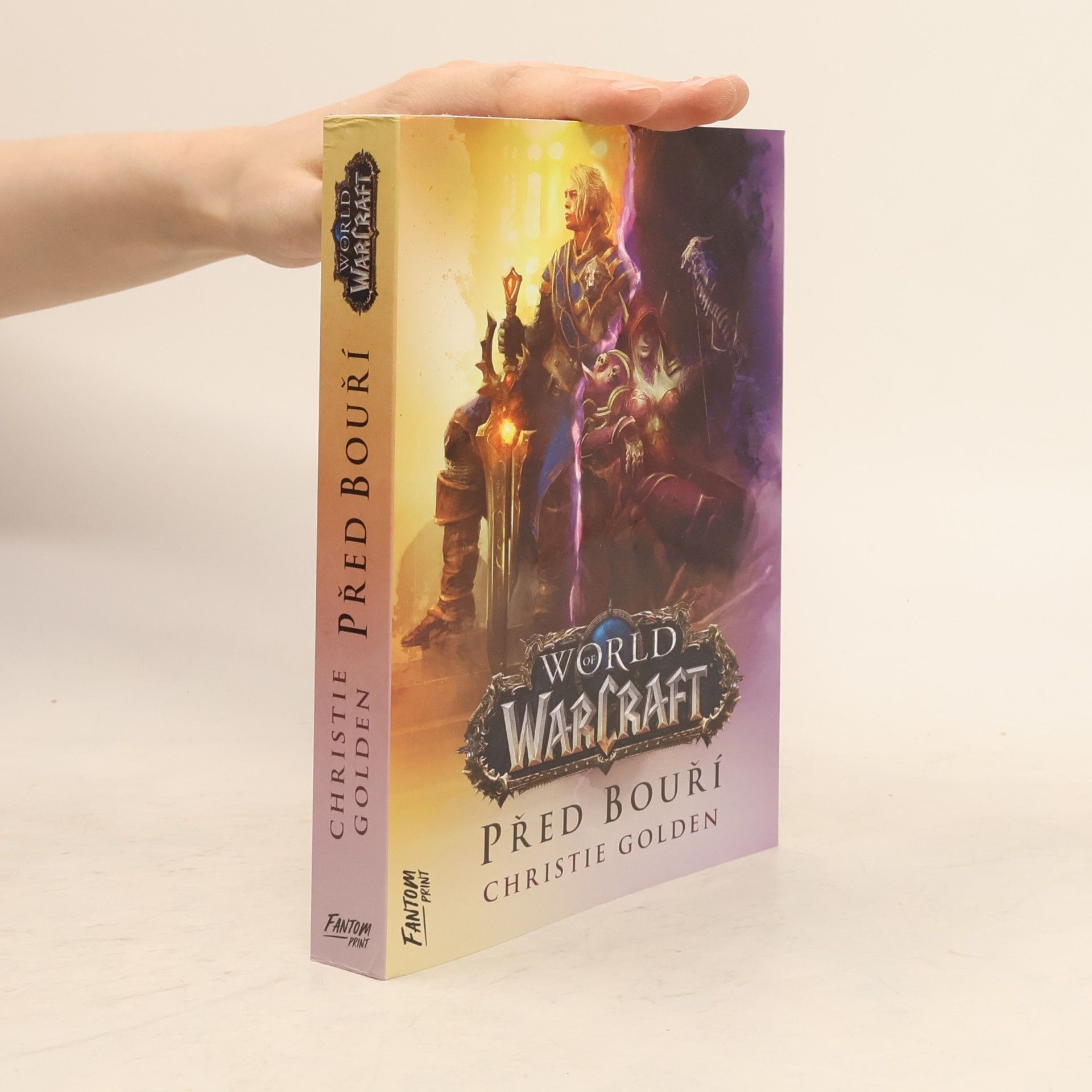 World of WarCraft. Před bouří