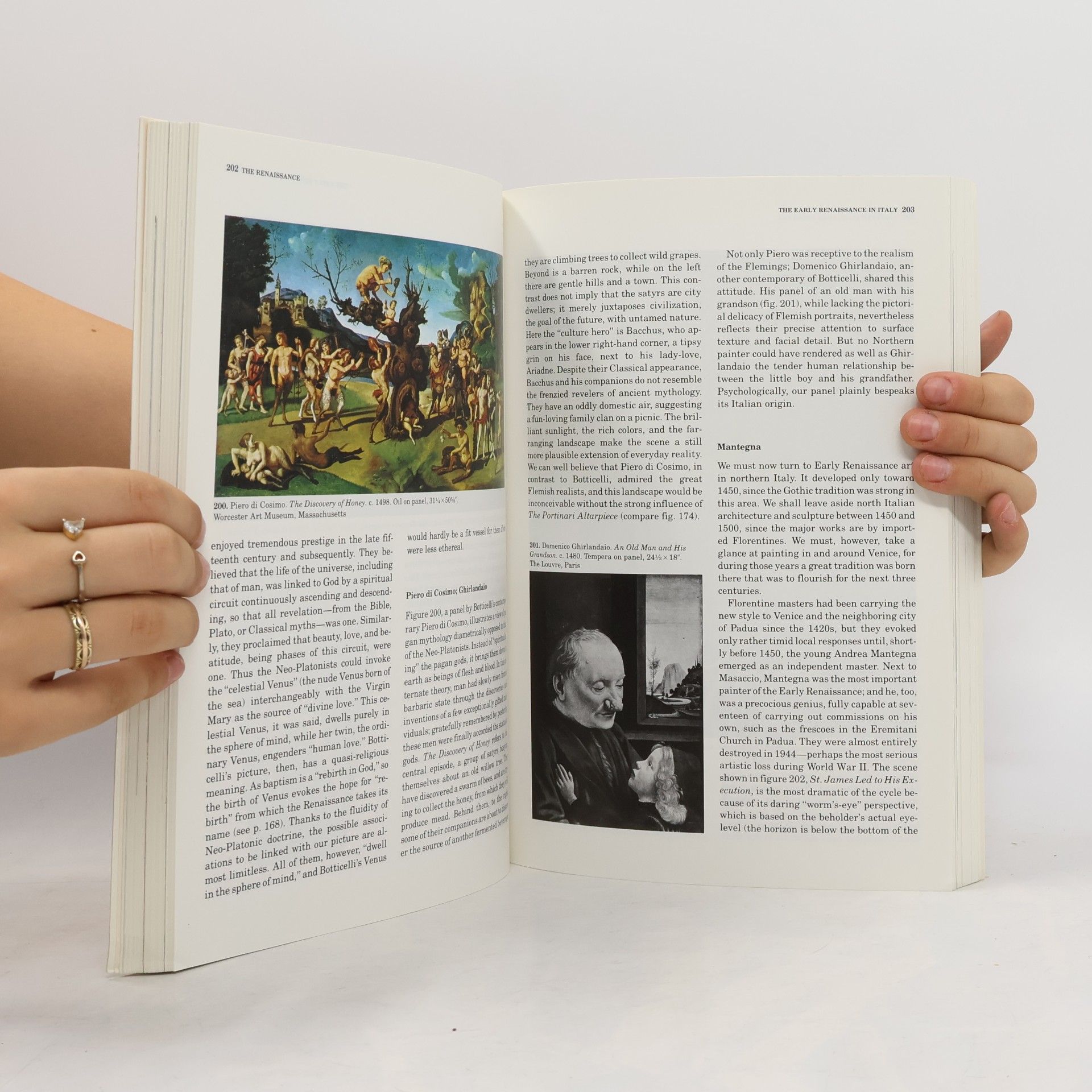 H. W. Janson A Basic History of Art